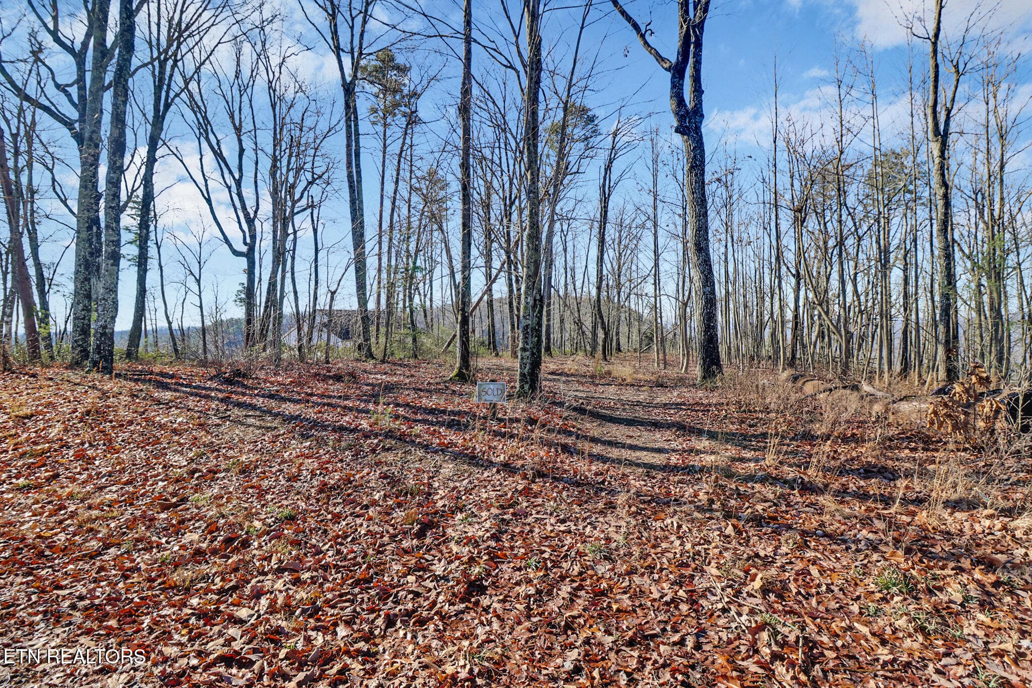 if1a8284-if1a8288 - 1309 Wind Rush Way, Monterey, TN 38574