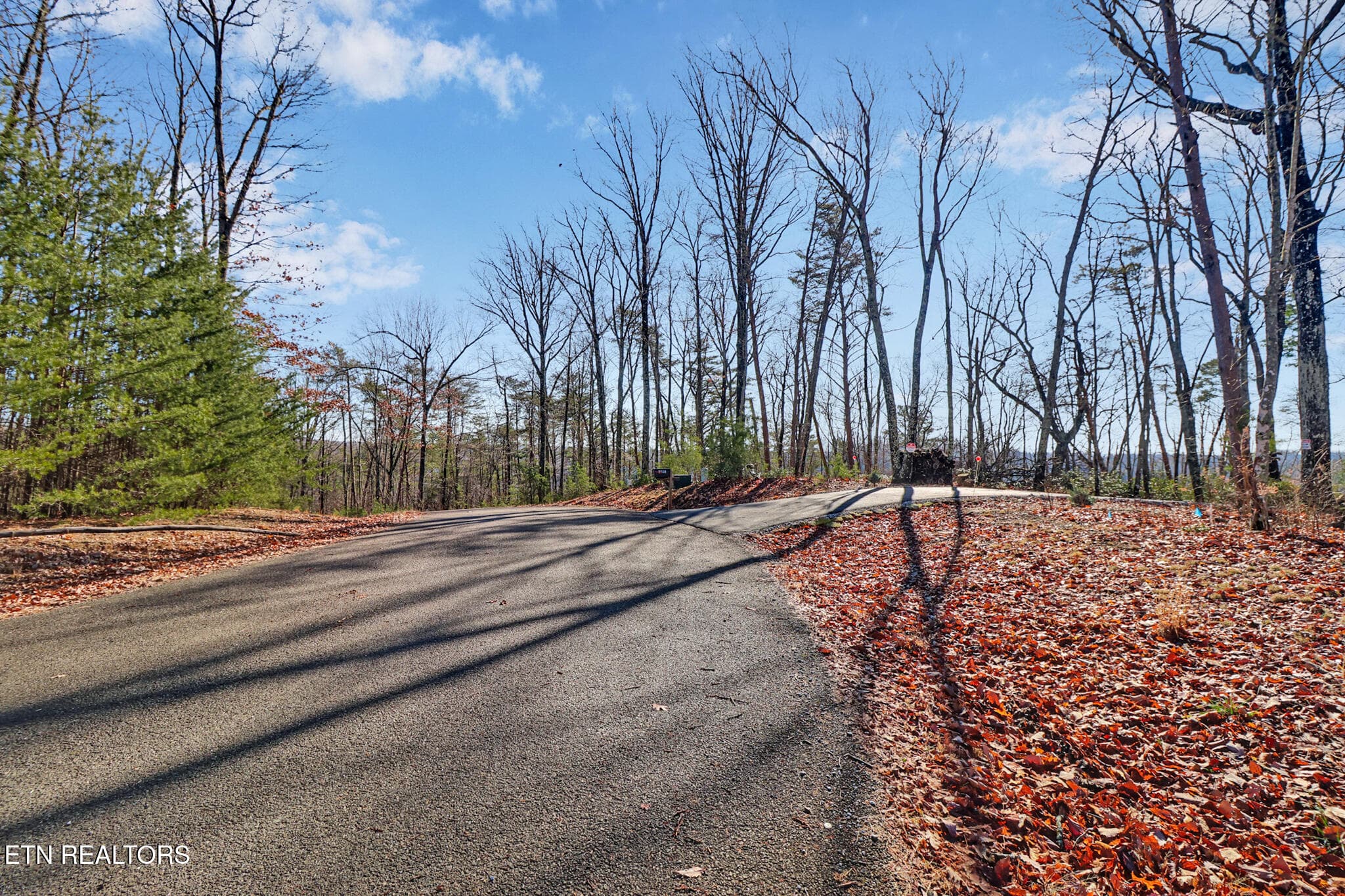 if1a8299-if1a8303 - 1309 Wind Rush Way, Monterey, TN 38574