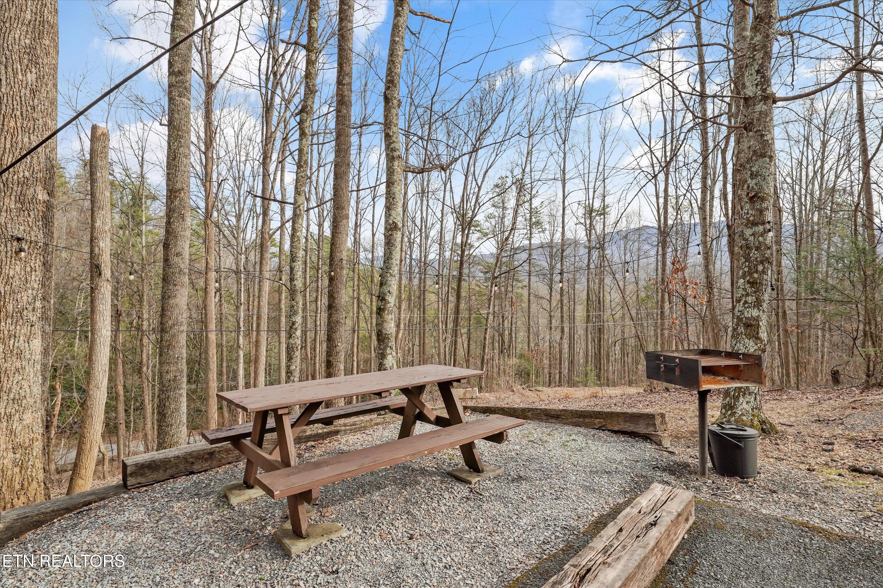 IMG_2847 - 1103 Villa Lane, Gatlinburg, TN 37738, Gatlinburg