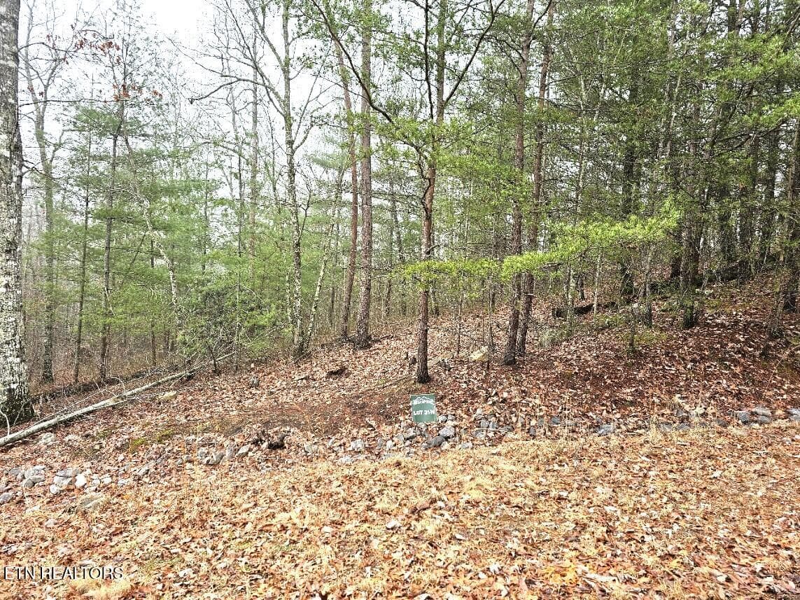 3 - 514 Percussion Court, Walland, TN 37886