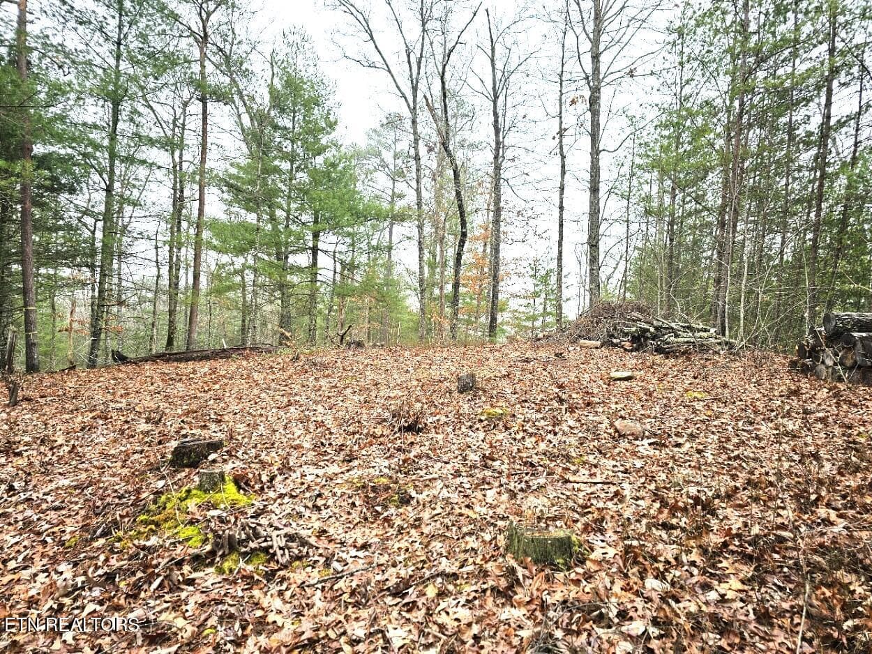 514 Percussion Court, Walland, TN 37886
