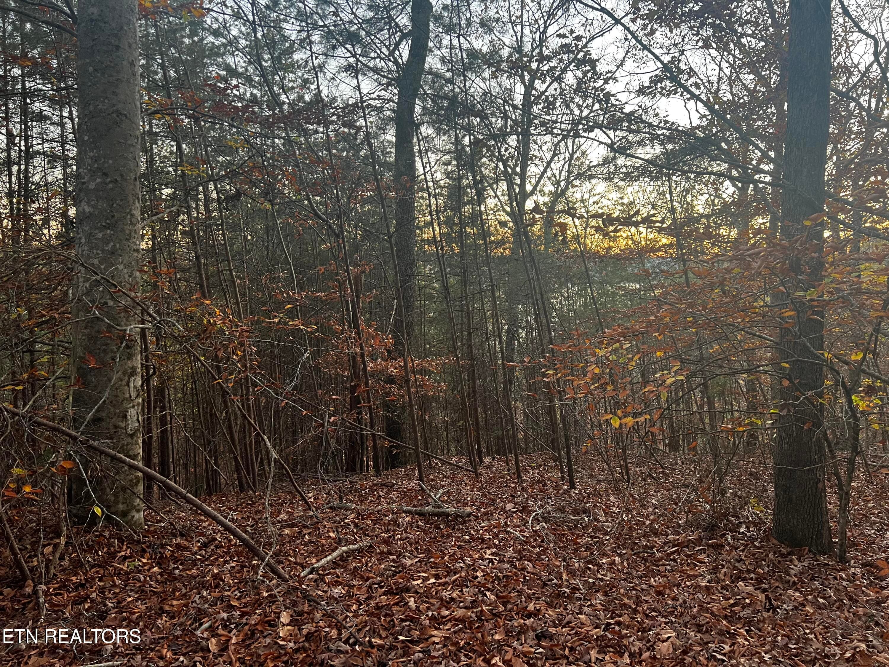 Lot 155 - Emerald Pt, Sharps Chapel, TN 37866