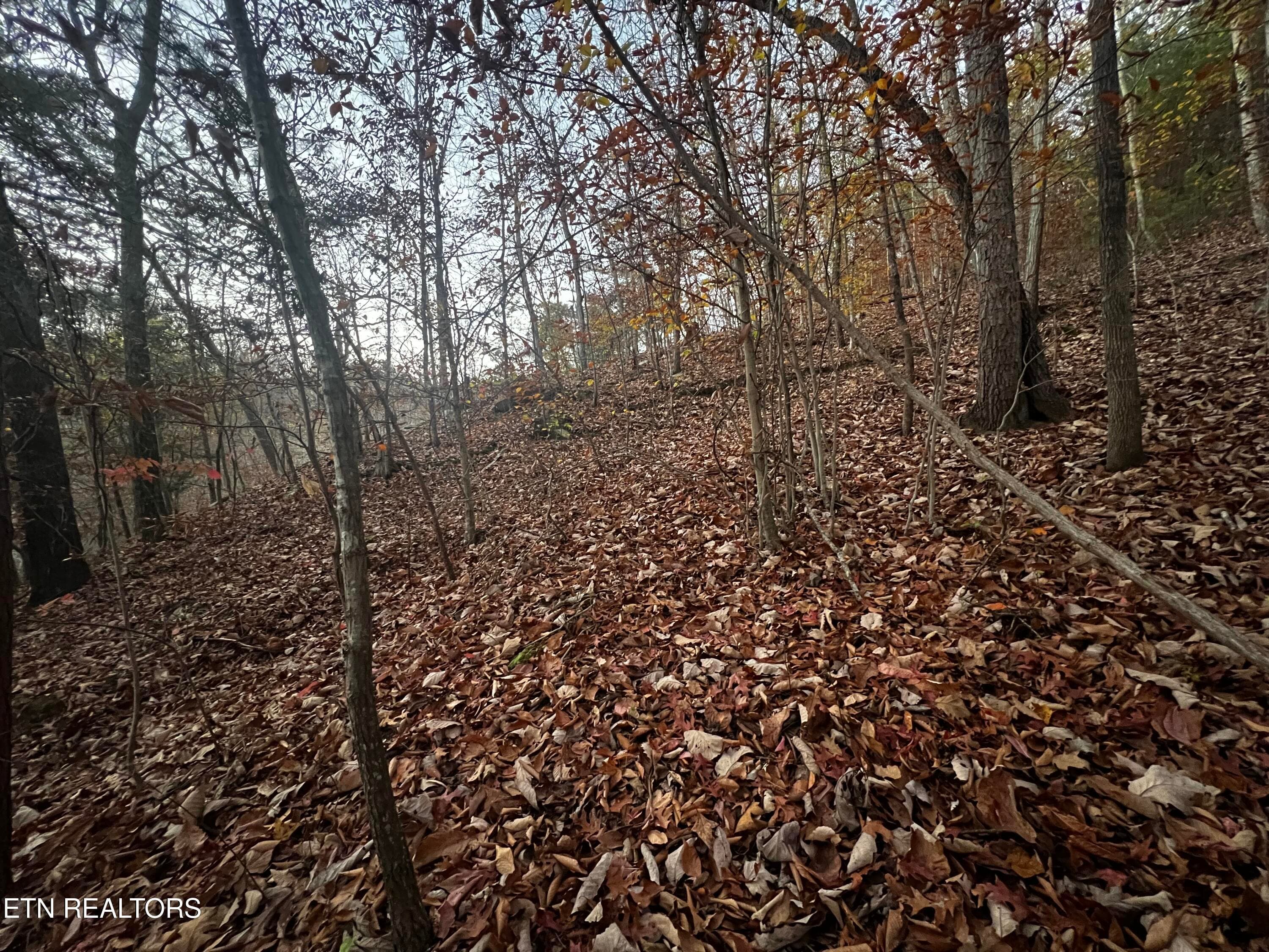 Lot 155 - Emerald Pt, Sharps Chapel, TN 37866