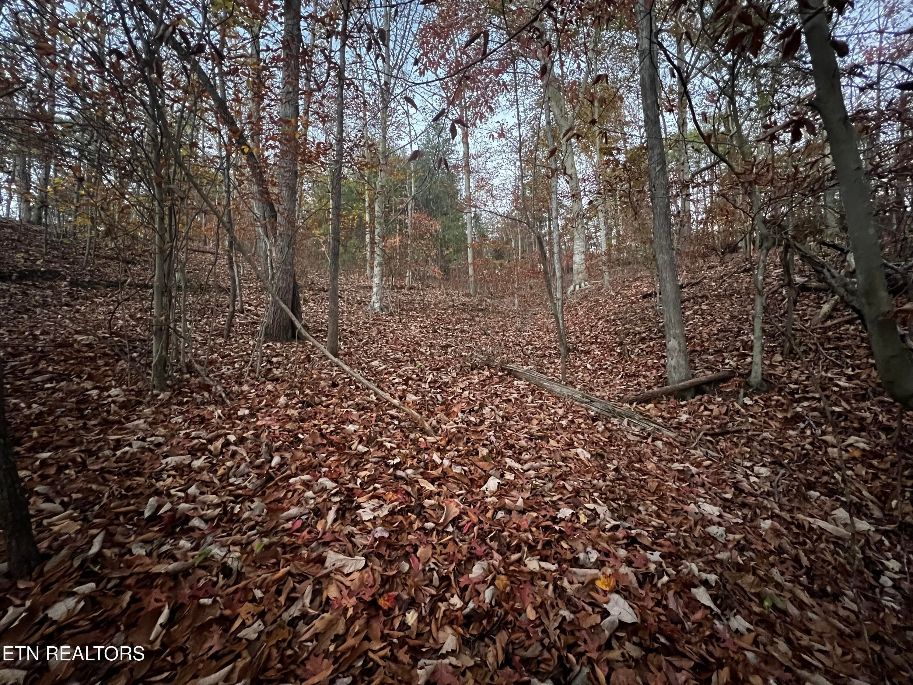 Lot 155 - Emerald Pt, Sharps Chapel, TN 37866