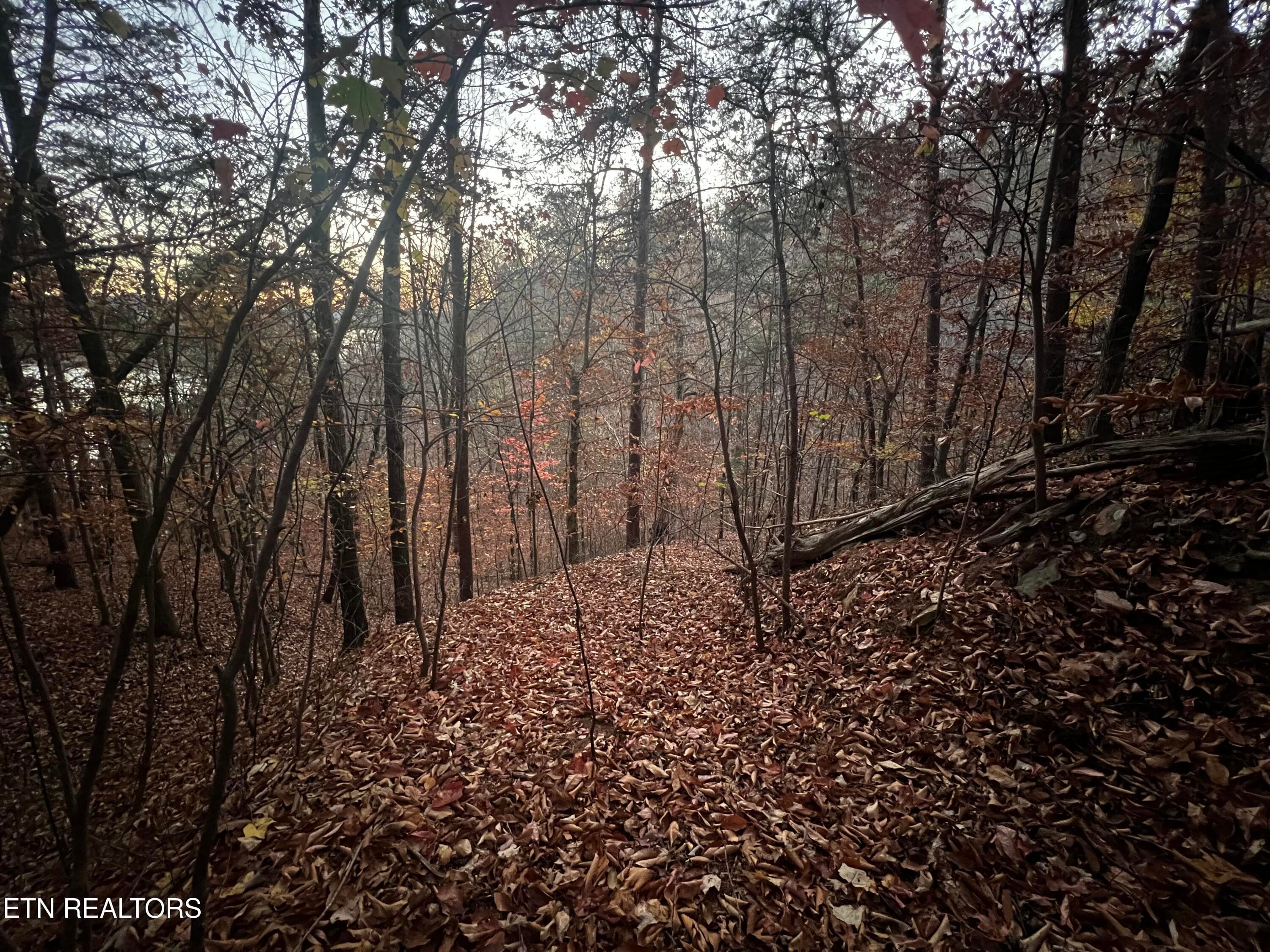 Lot 155 - Emerald Pt, Sharps Chapel, TN 37866