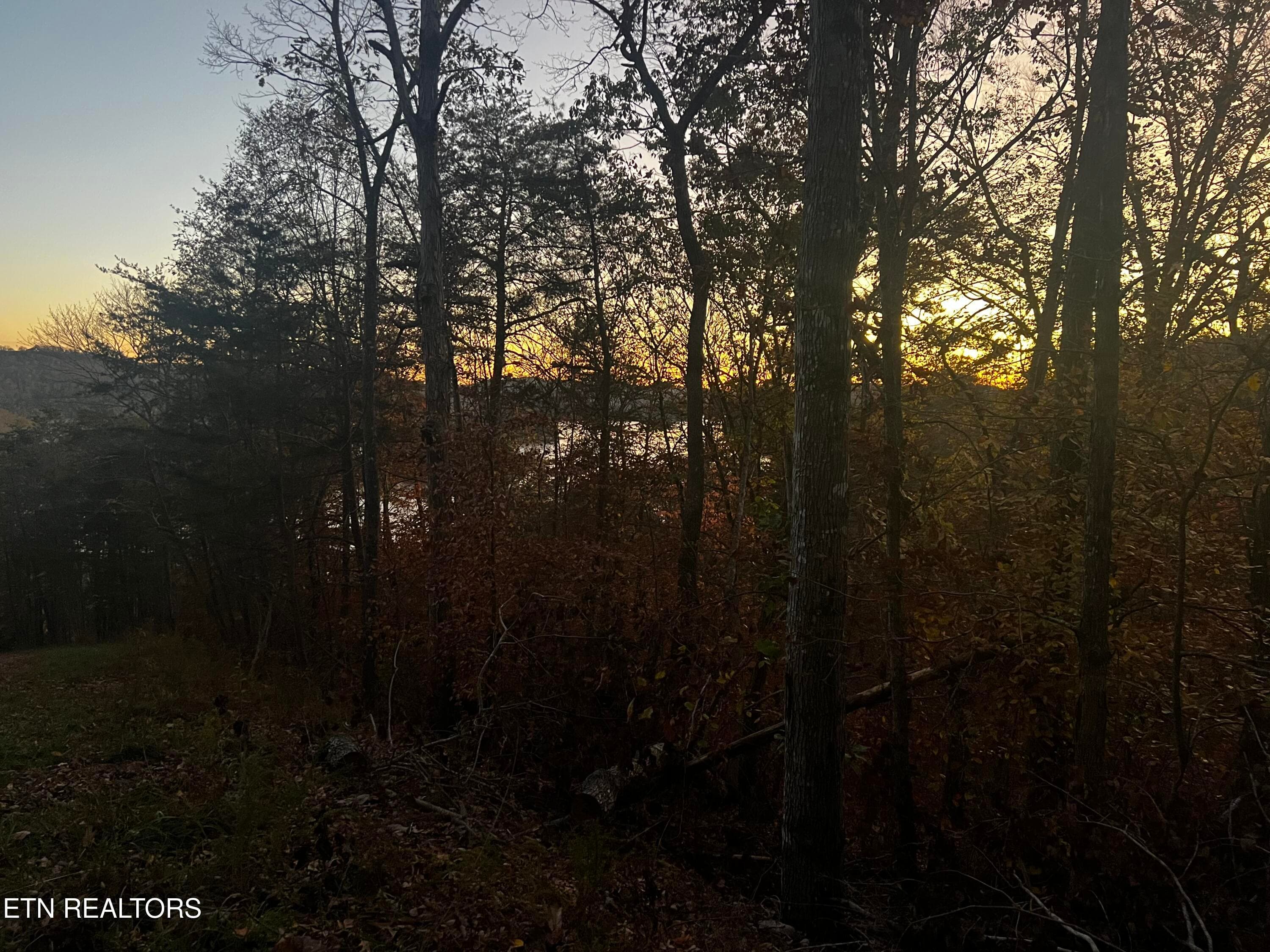 Lot 155 - Emerald Pt, Sharps Chapel, TN 37866