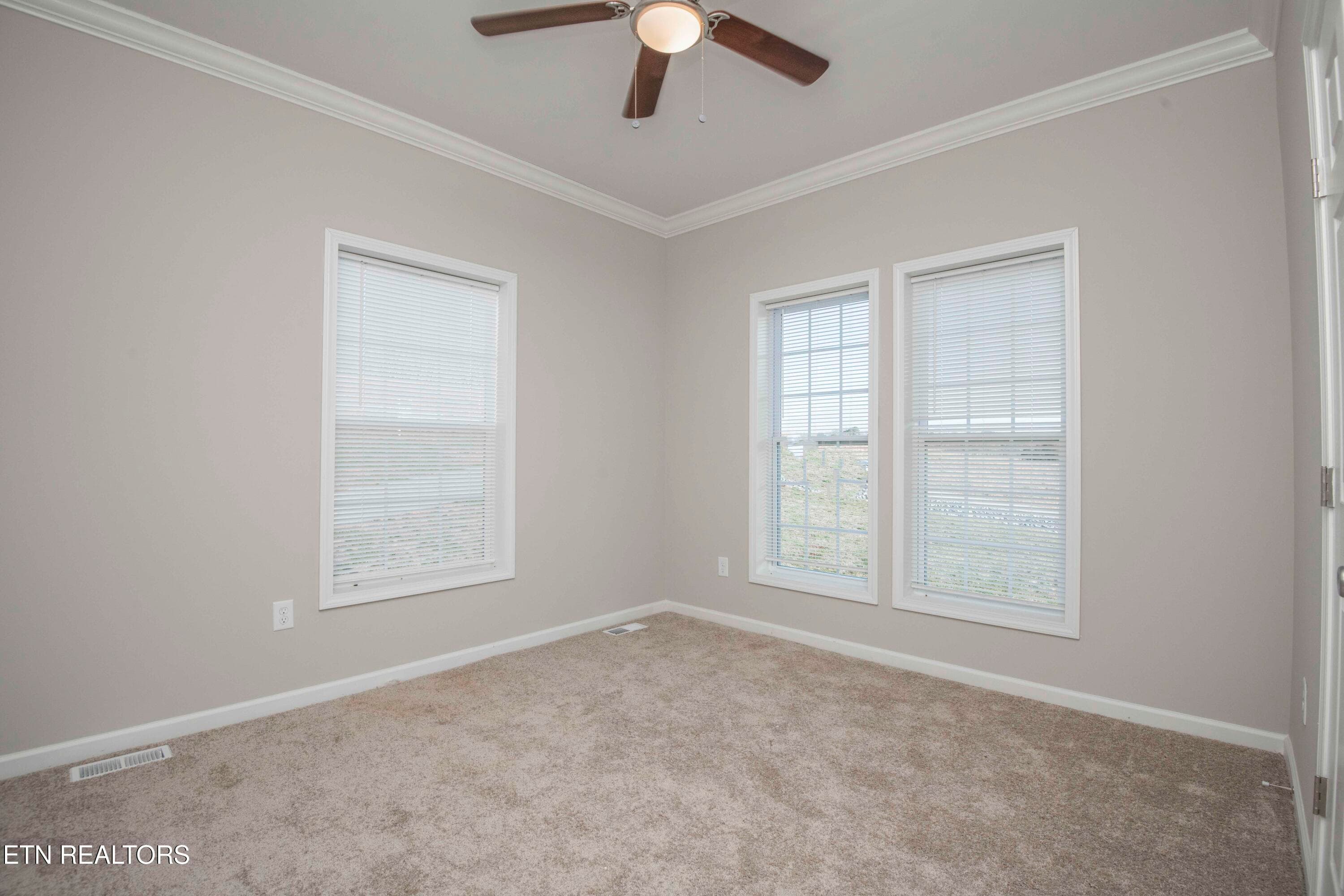 second bed 3_1 - 155 Waters Edge Drive, Spring City, TN 37381, Spring City