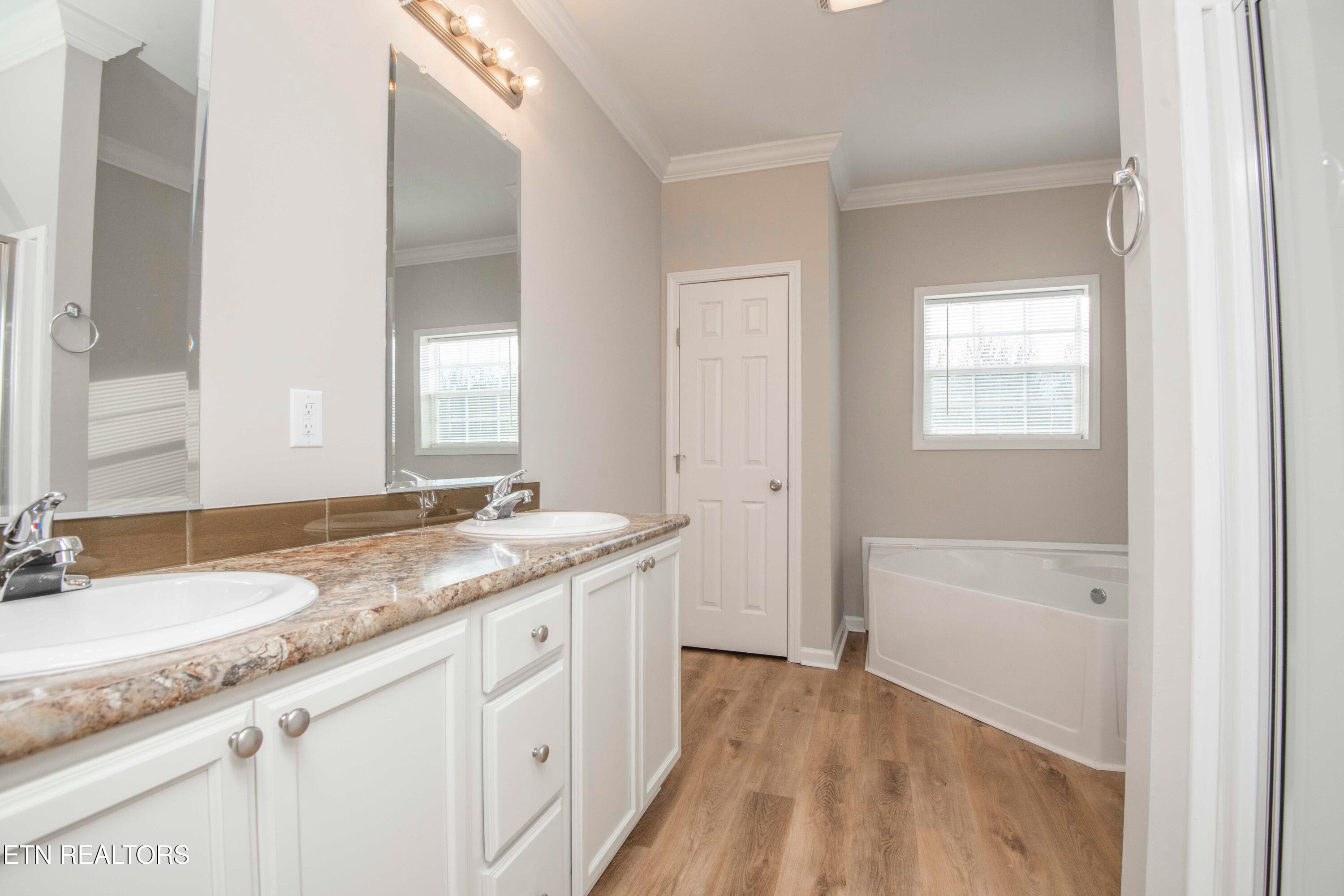 master bath 2_1 - 155 Waters Edge Drive, Spring City, TN 37381, Spring City