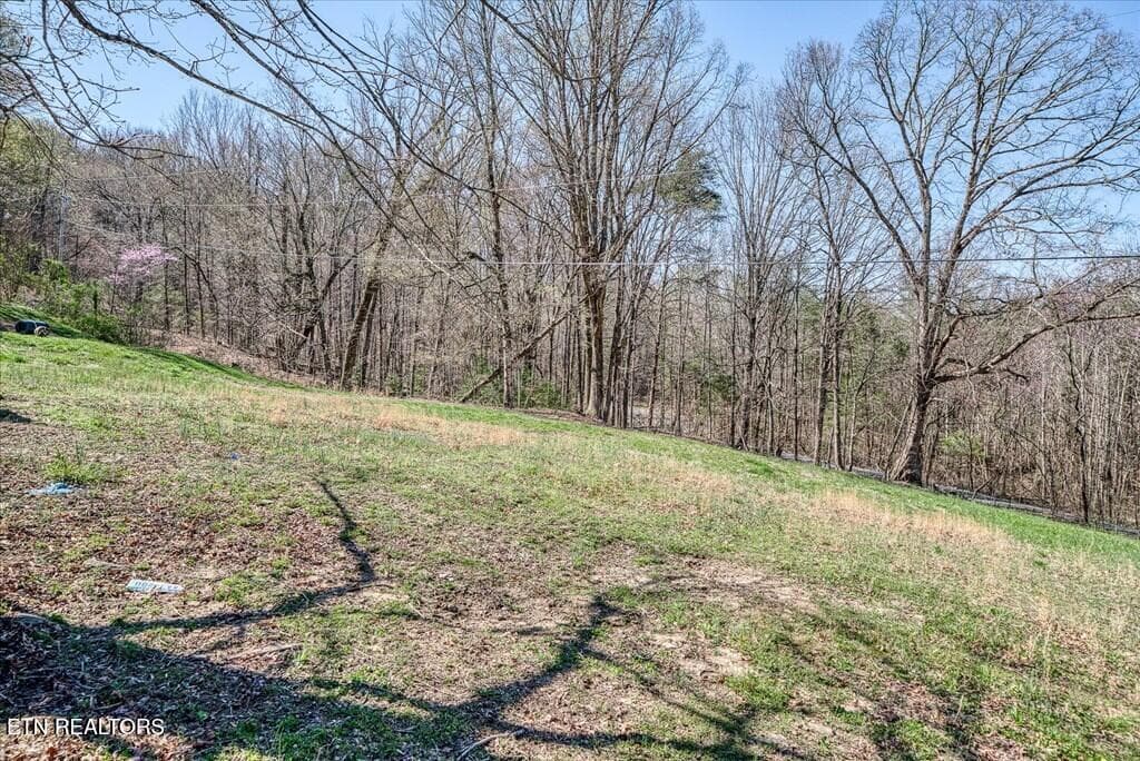 235522_7 - 618 Old Baker Mtn Rd, Spencer, TN 38585