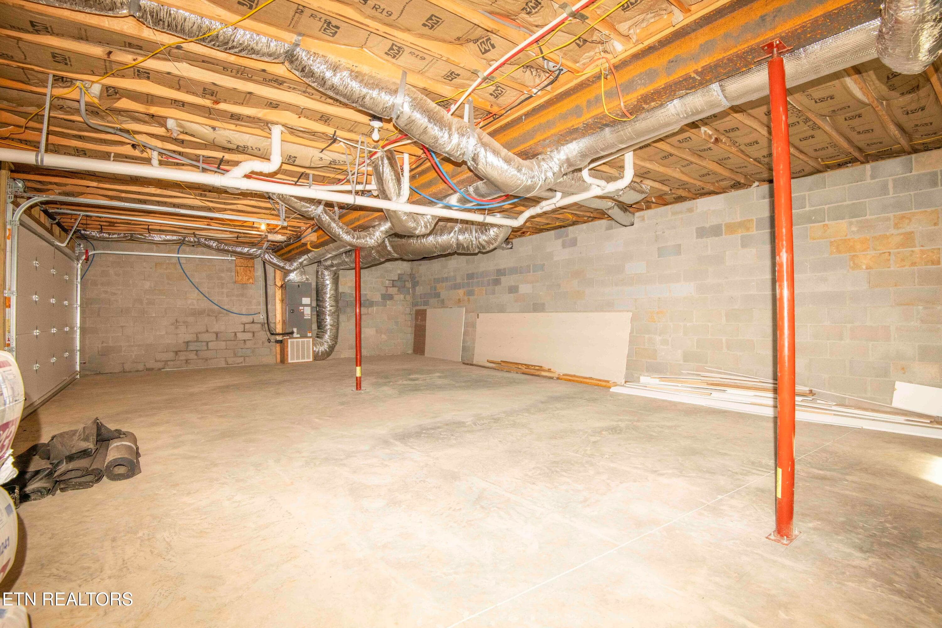 basement_1 (1) - 185 Waters Edge Drive, Spring City, TN 37381, Spring City