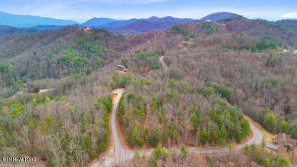11 - 514 Percussion Court, Walland, TN 37886