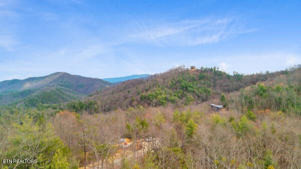 13 - 514 Percussion Court, Walland, TN 37886