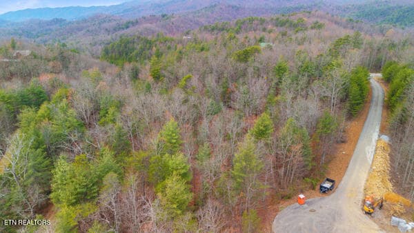 7 - 514 Percussion Court, Walland, TN 37886