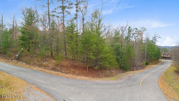 2 - 514 Percussion Court, Walland, TN 37886