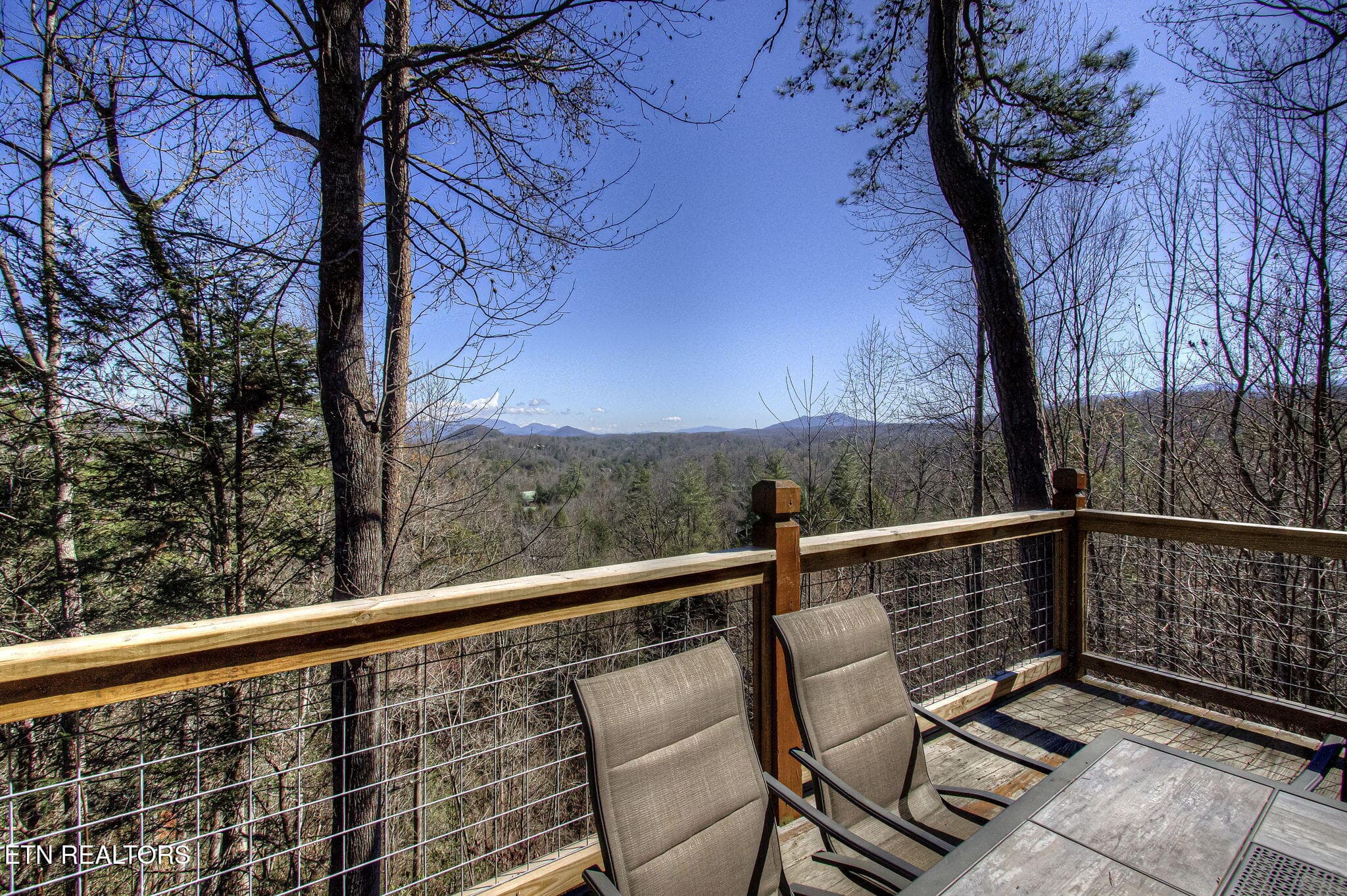 IMG_5851 - 1226 Serenity Lane, Sevierville, TN 37876