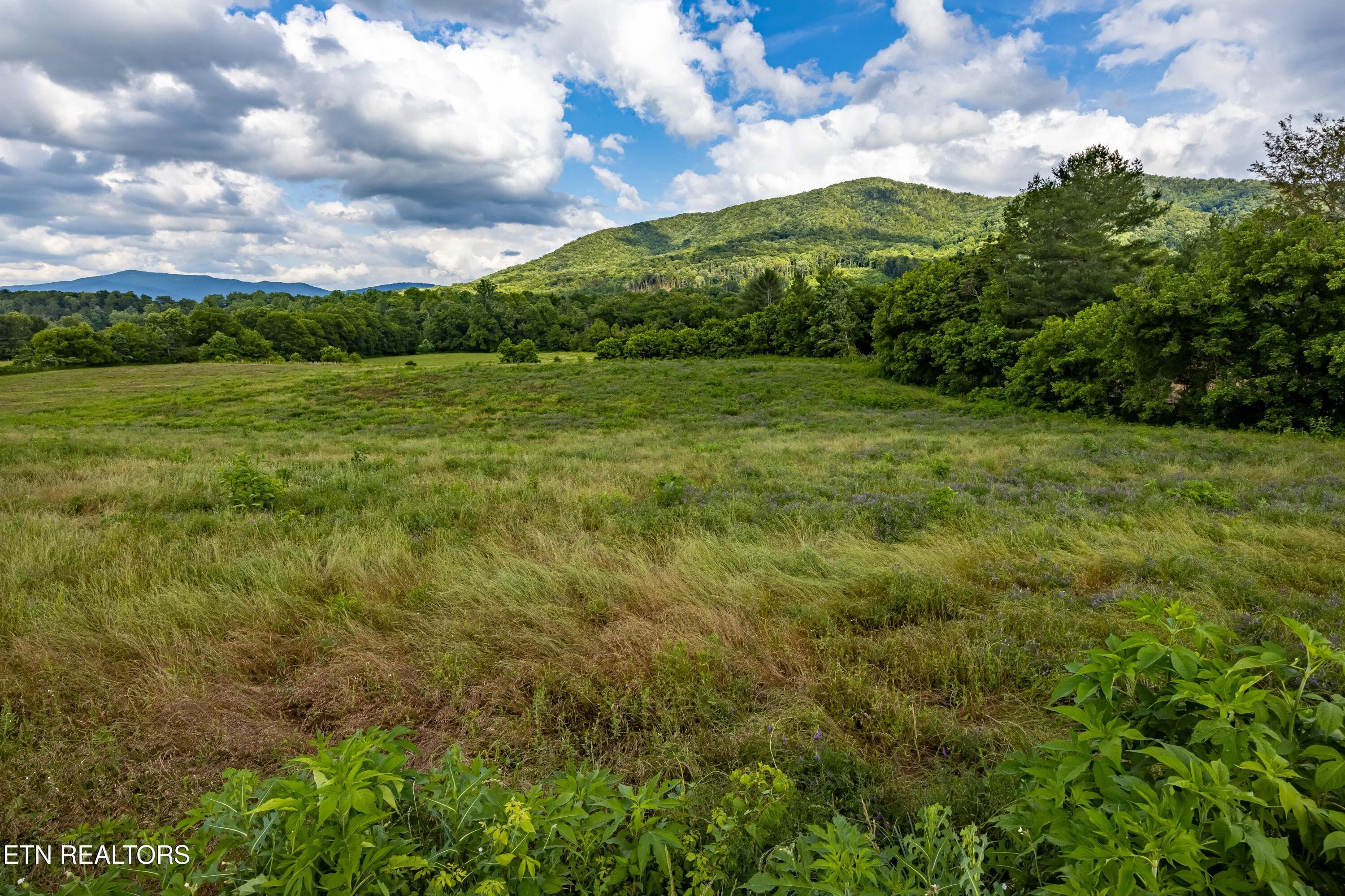 Lot 3R2 Holders Grove Rd, Cosby, TN 37722