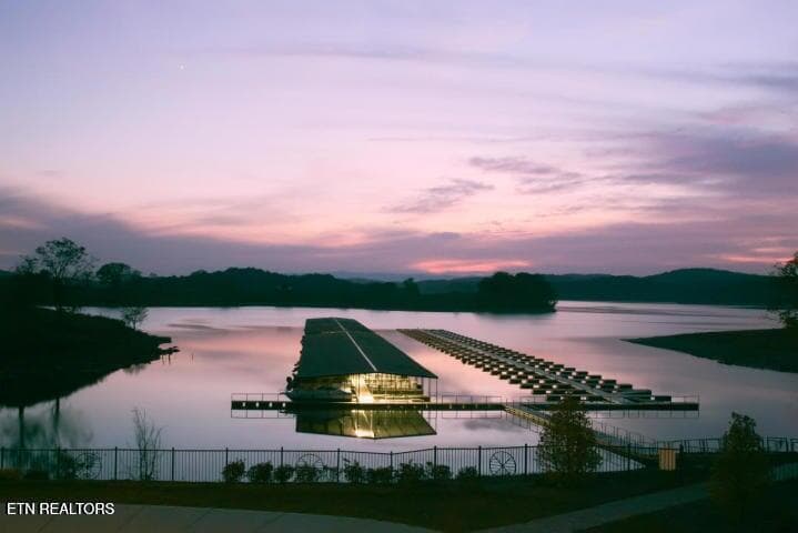Community Marina - 650 lot Russell Brothers Rd, Sharps Chapel, TN 37866, Sharps Chapel