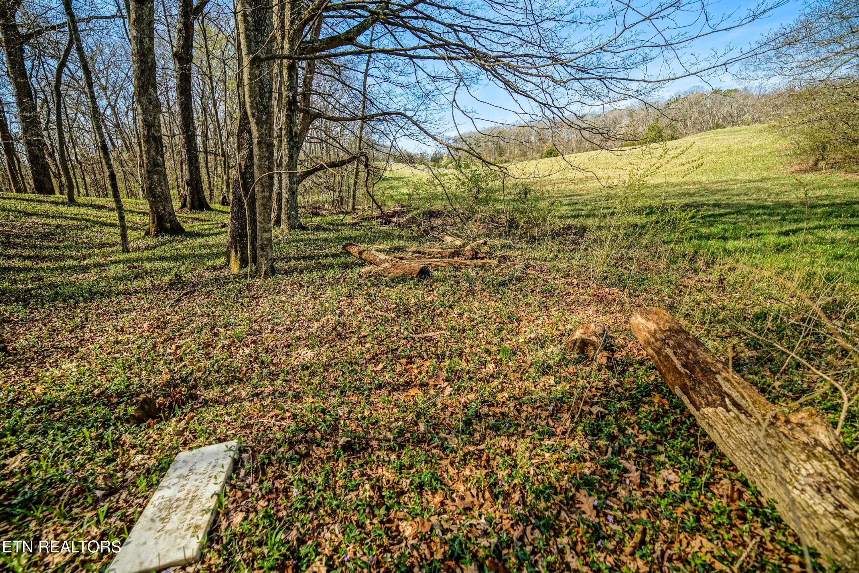 HeatherFarm6914 - 243 Black Oak Rd, Clinton, TN 37716