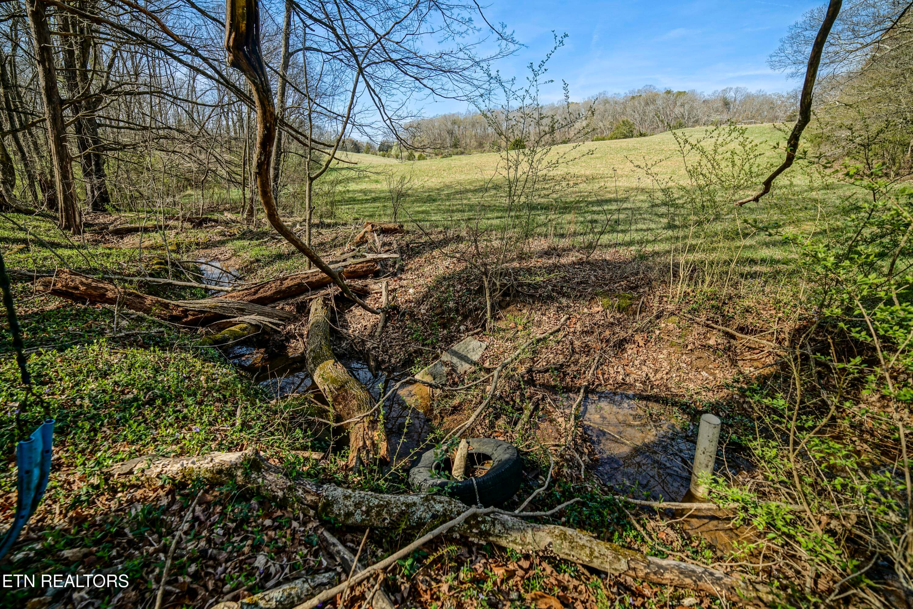 HeatherFarm6915 - 243 Black Oak Rd, Clinton, TN 37716