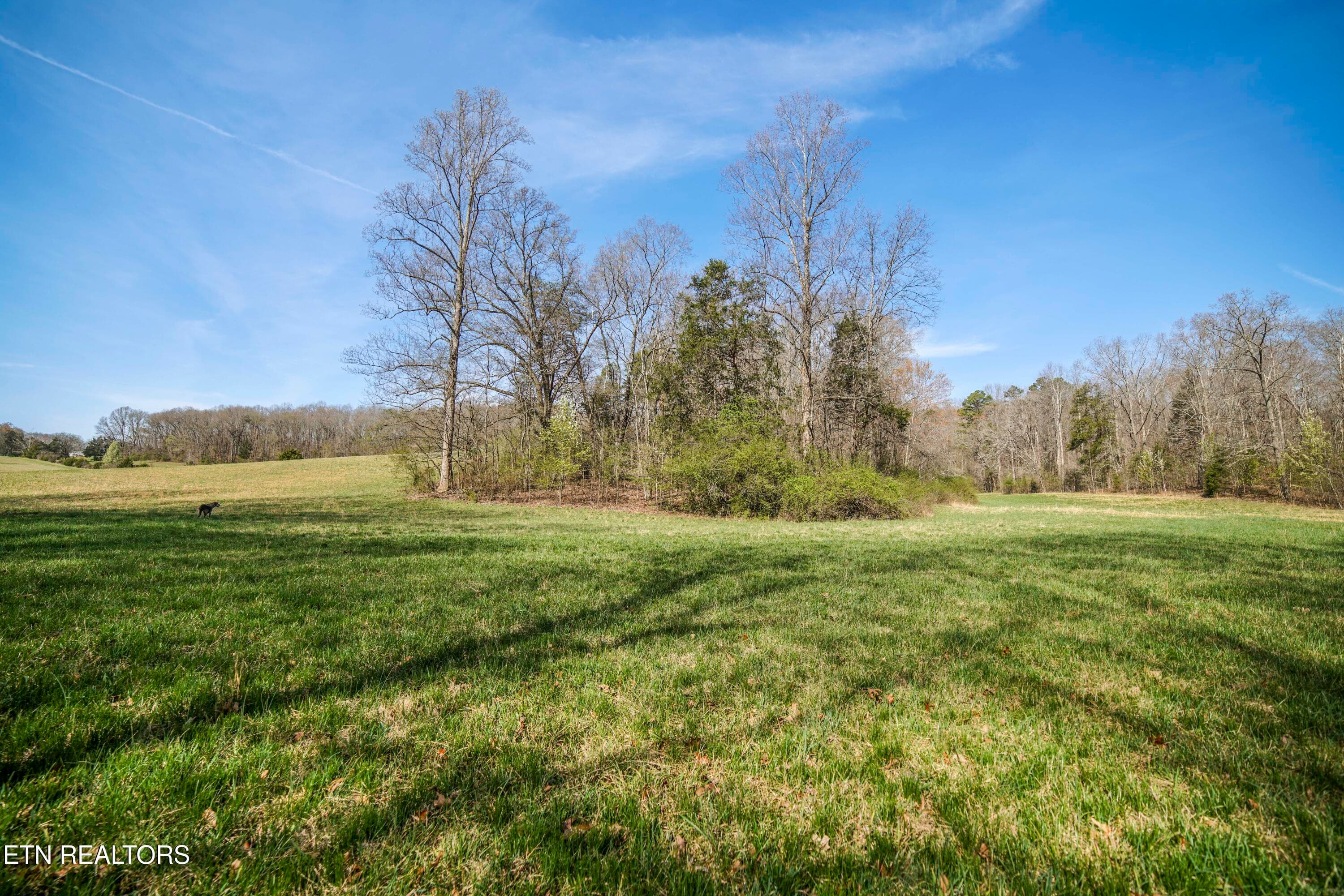 HeatherFarm6918 - 243 Black Oak Rd, Clinton, TN 37716