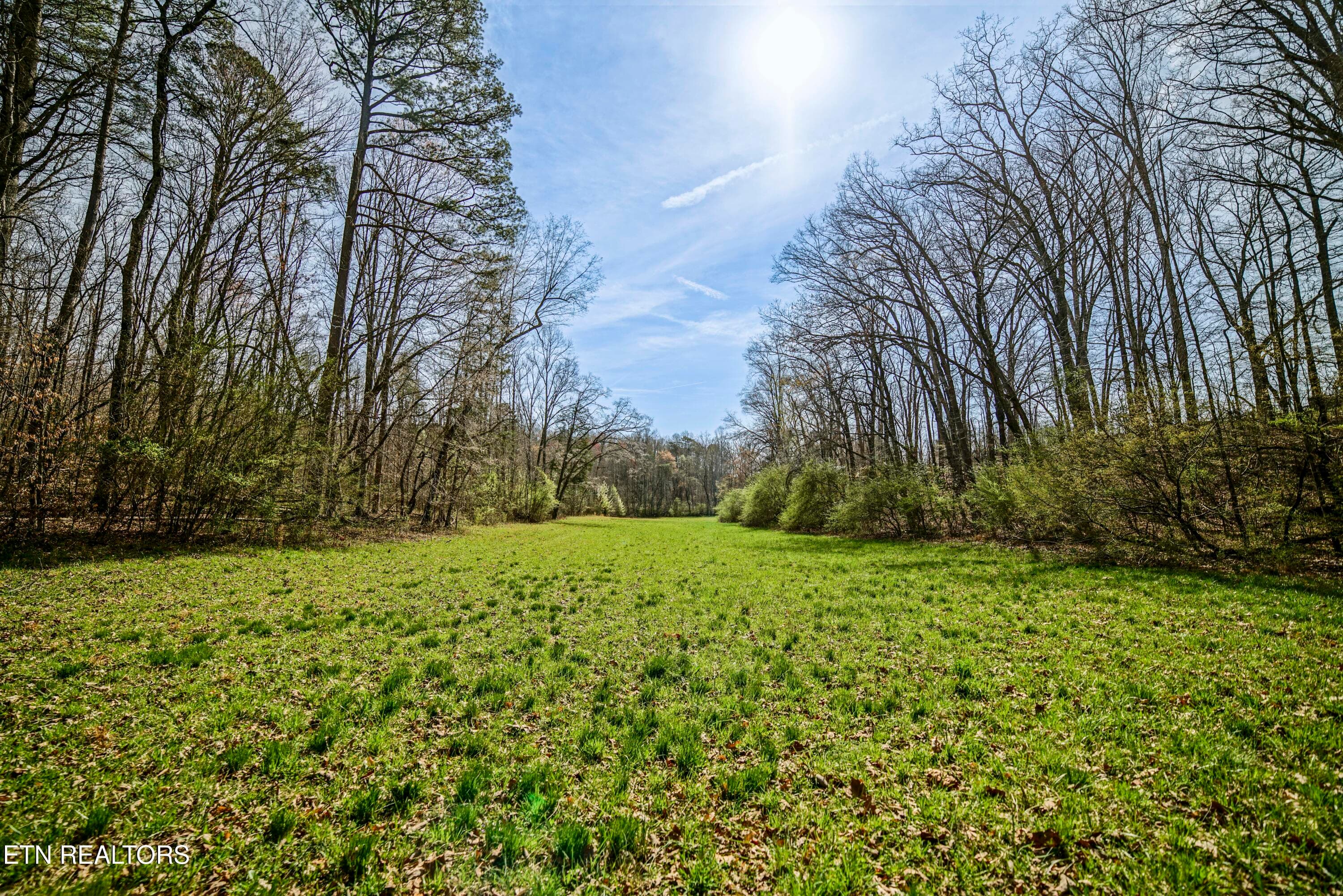 HeatherFarm6924 - 243 Black Oak Rd, Clinton, TN 37716