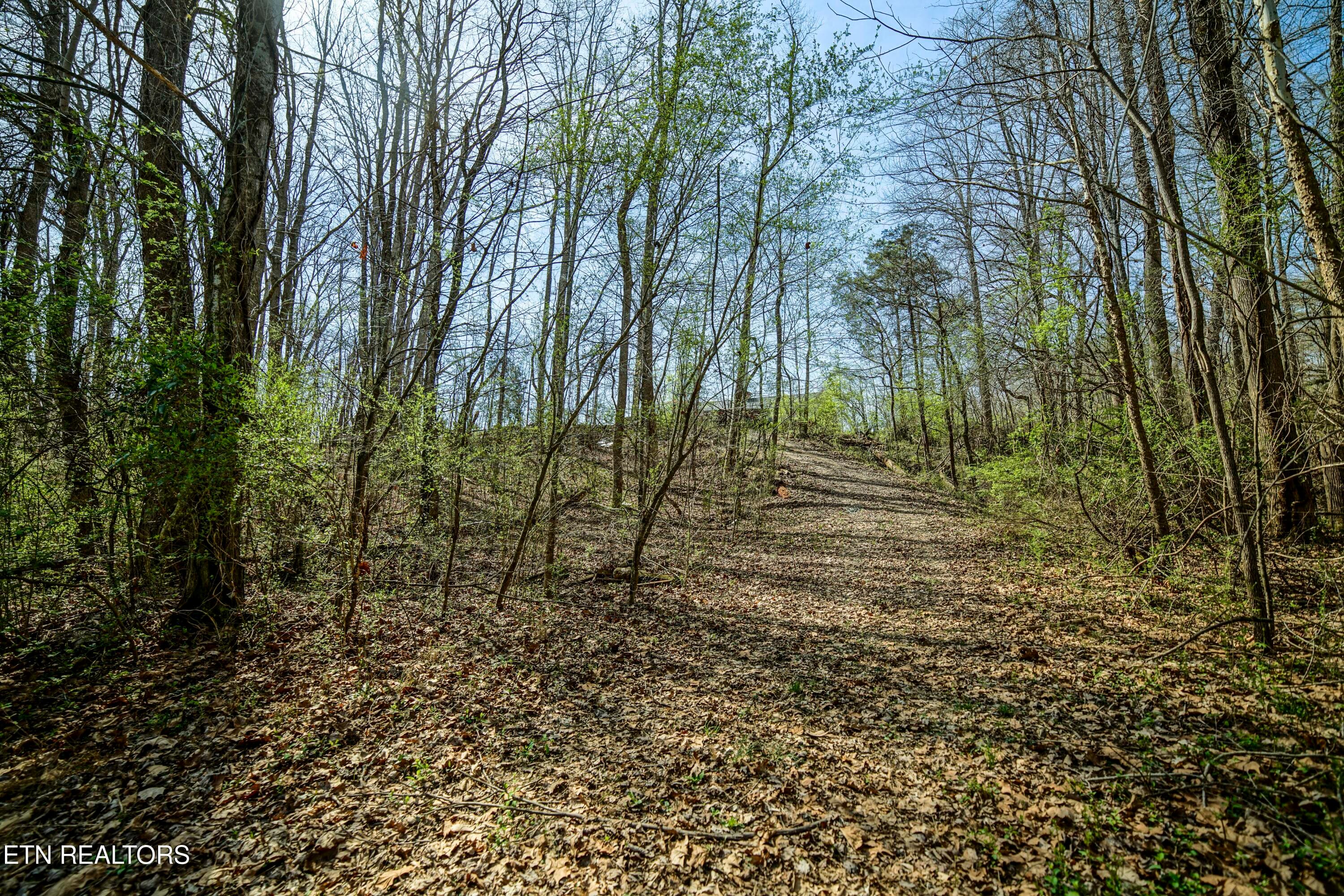 HeatherFarm6925 - 243 Black Oak Rd, Clinton, TN 37716