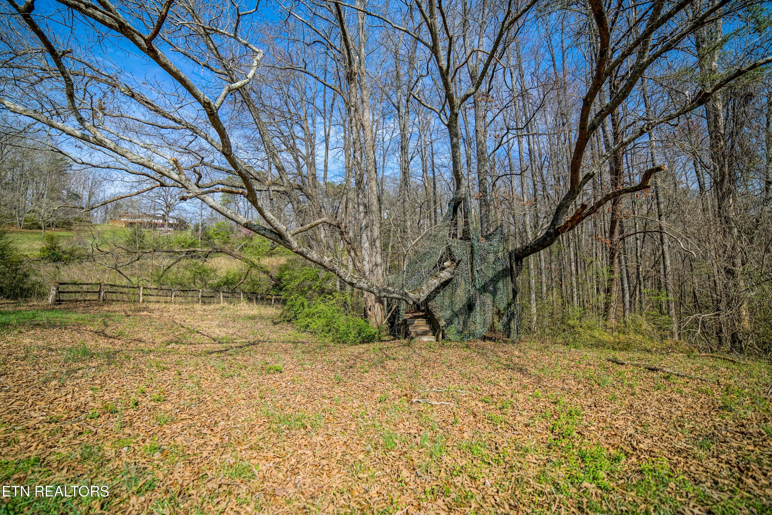 HeatherFarm6930 - 243 Black Oak Rd, Clinton, TN 37716