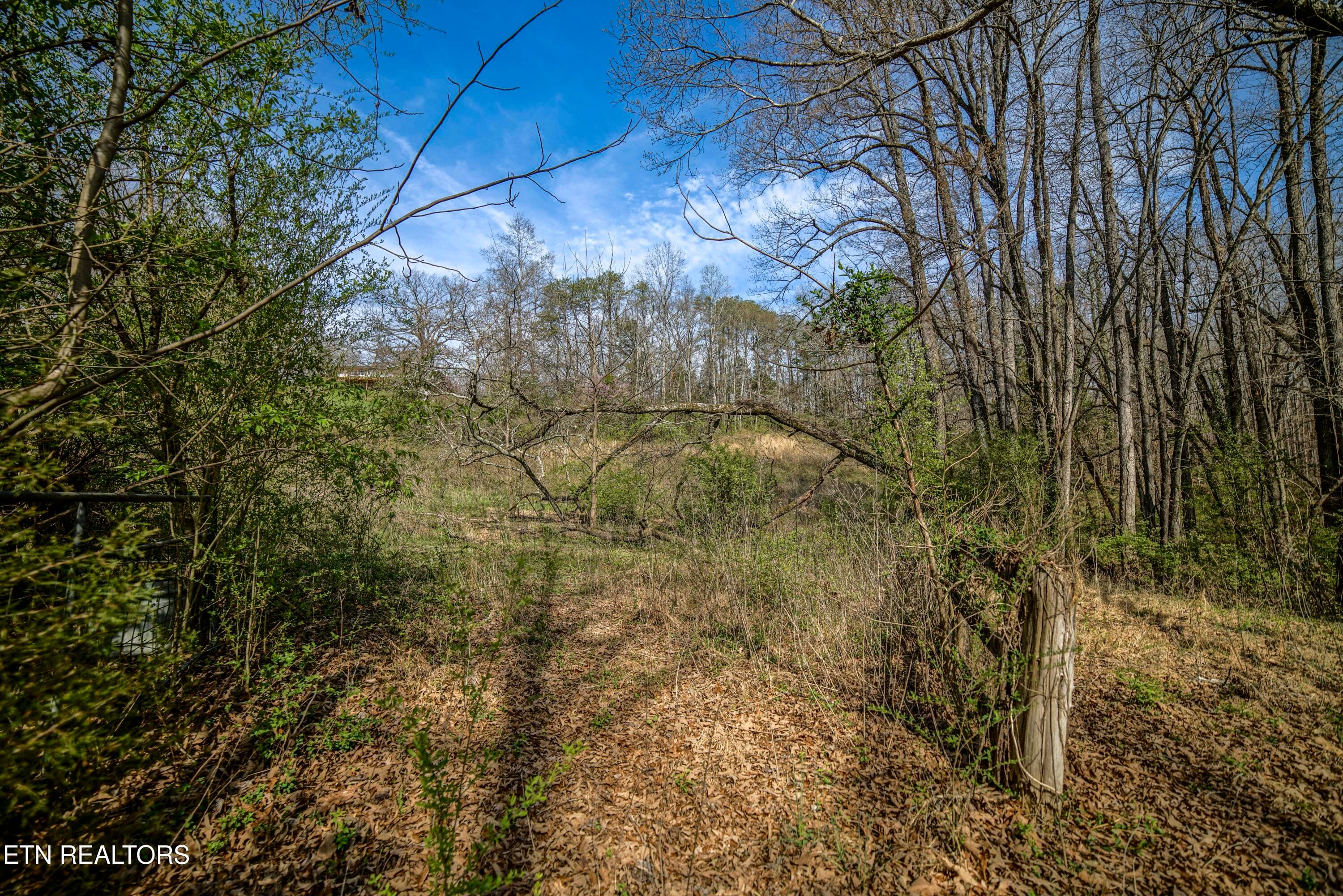 HeatherFarm6932 - 243 Black Oak Rd, Clinton, TN 37716
