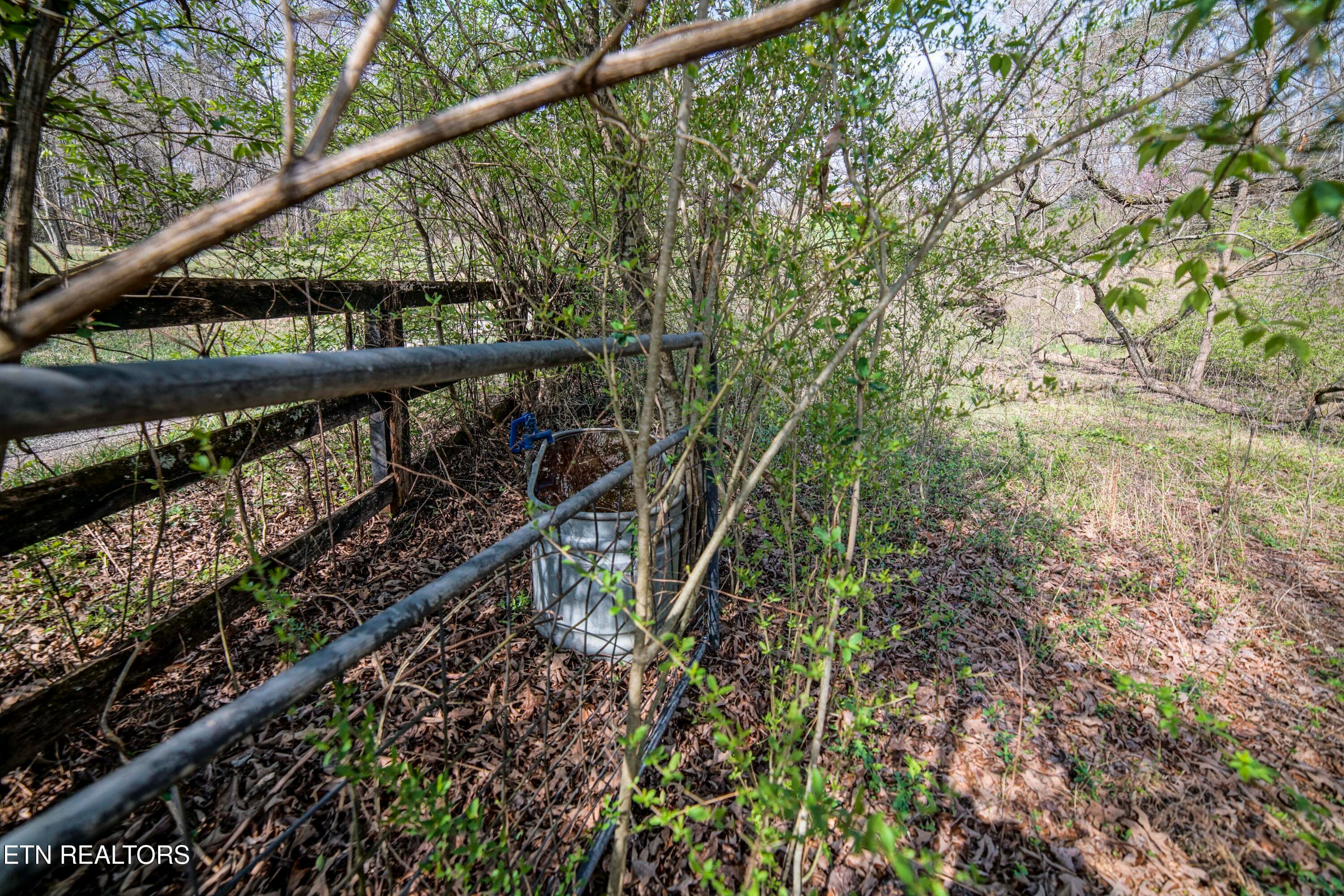 HeatherFarm6933 - 243 Black Oak Rd, Clinton, TN 37716