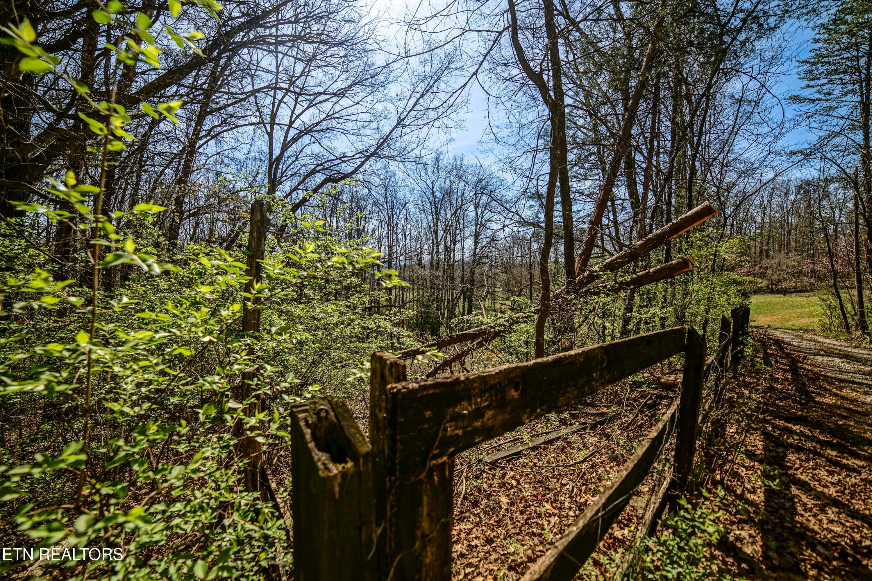 HeatherFarm6936 - 243 Black Oak Rd, Clinton, TN 37716