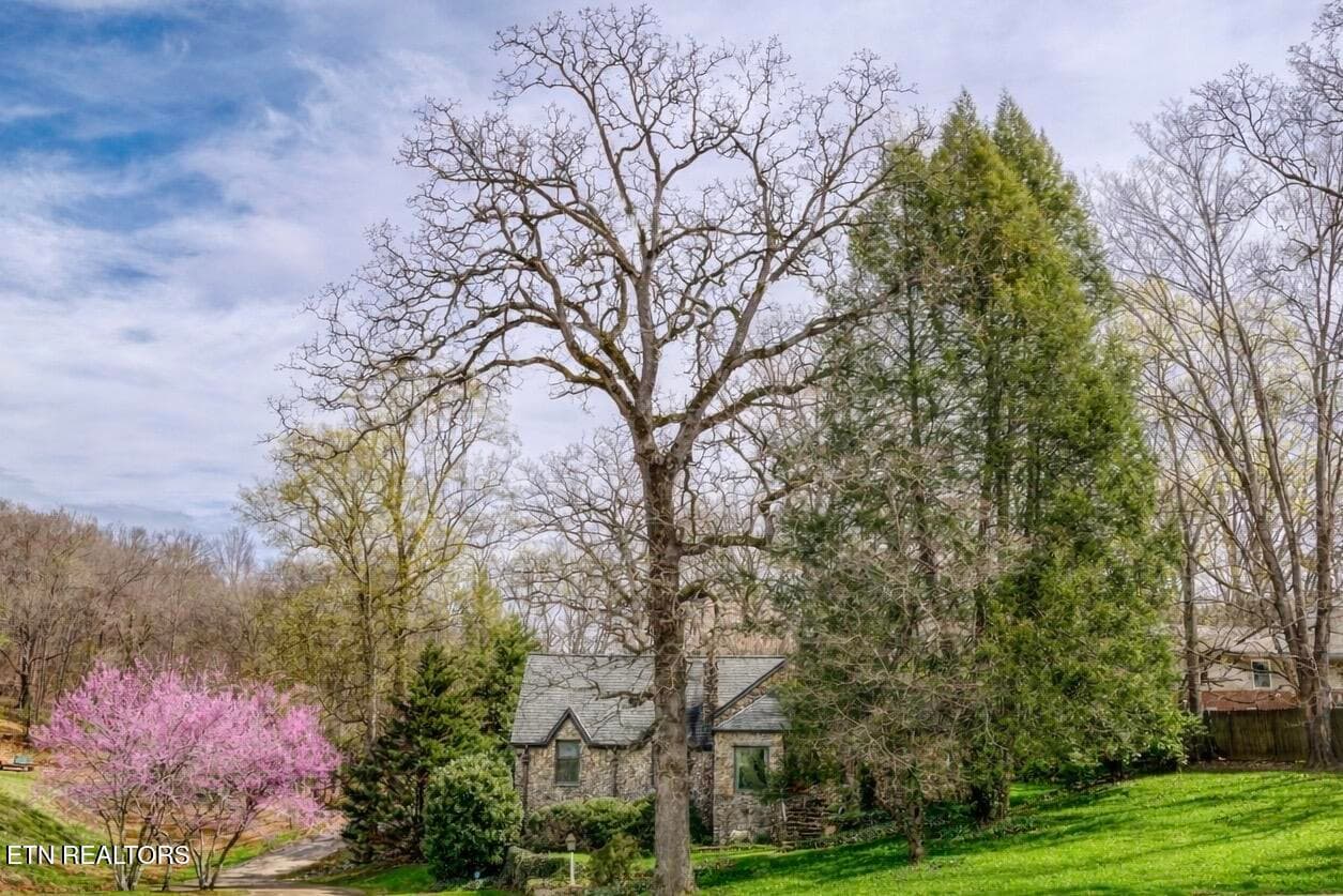 Front Ai altered - 508 Concord Rd, Knoxville, TN 37934, Knoxville