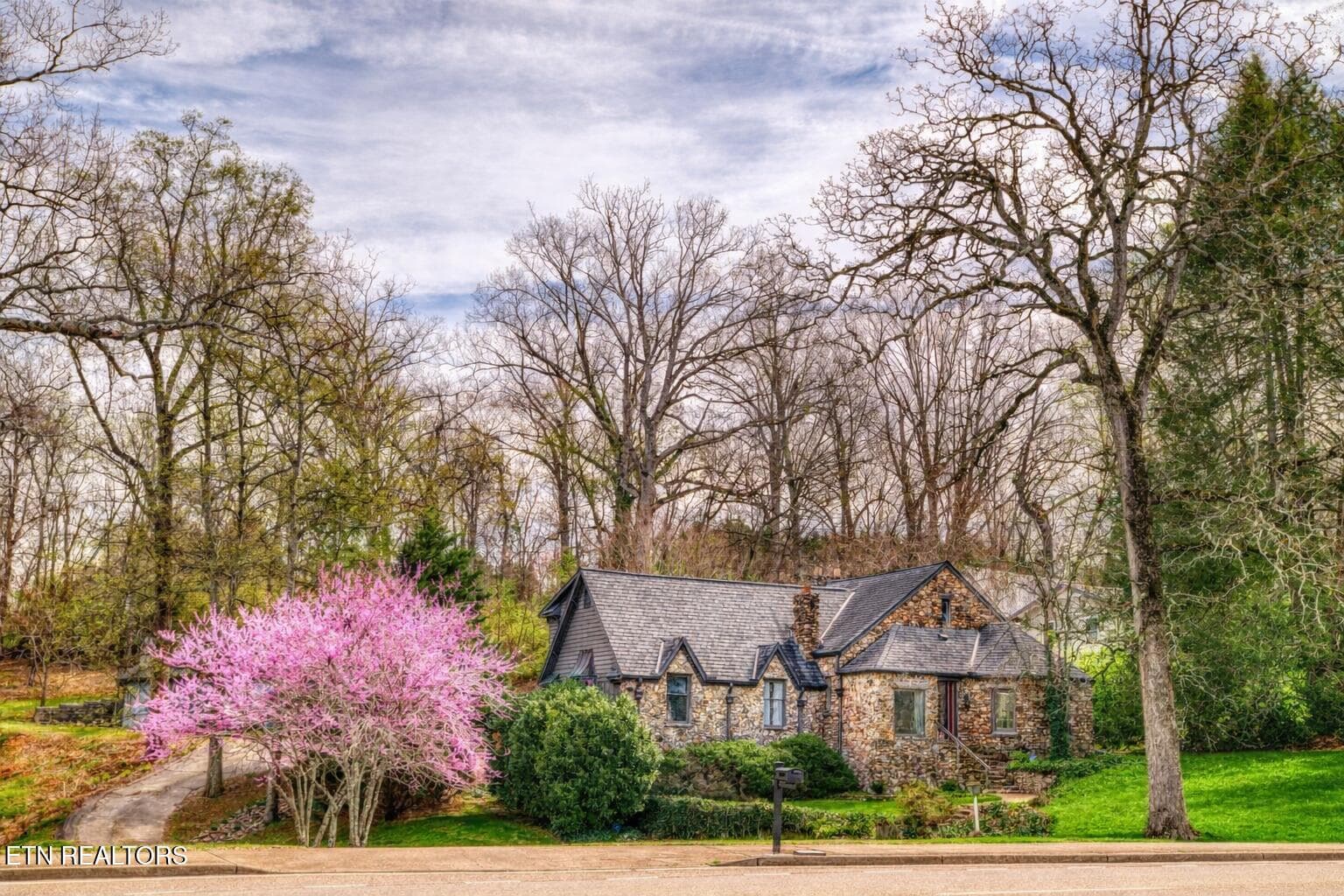 Red bud tree front Concord - 508 Concord Rd, Knoxville, TN 37934, Knoxville