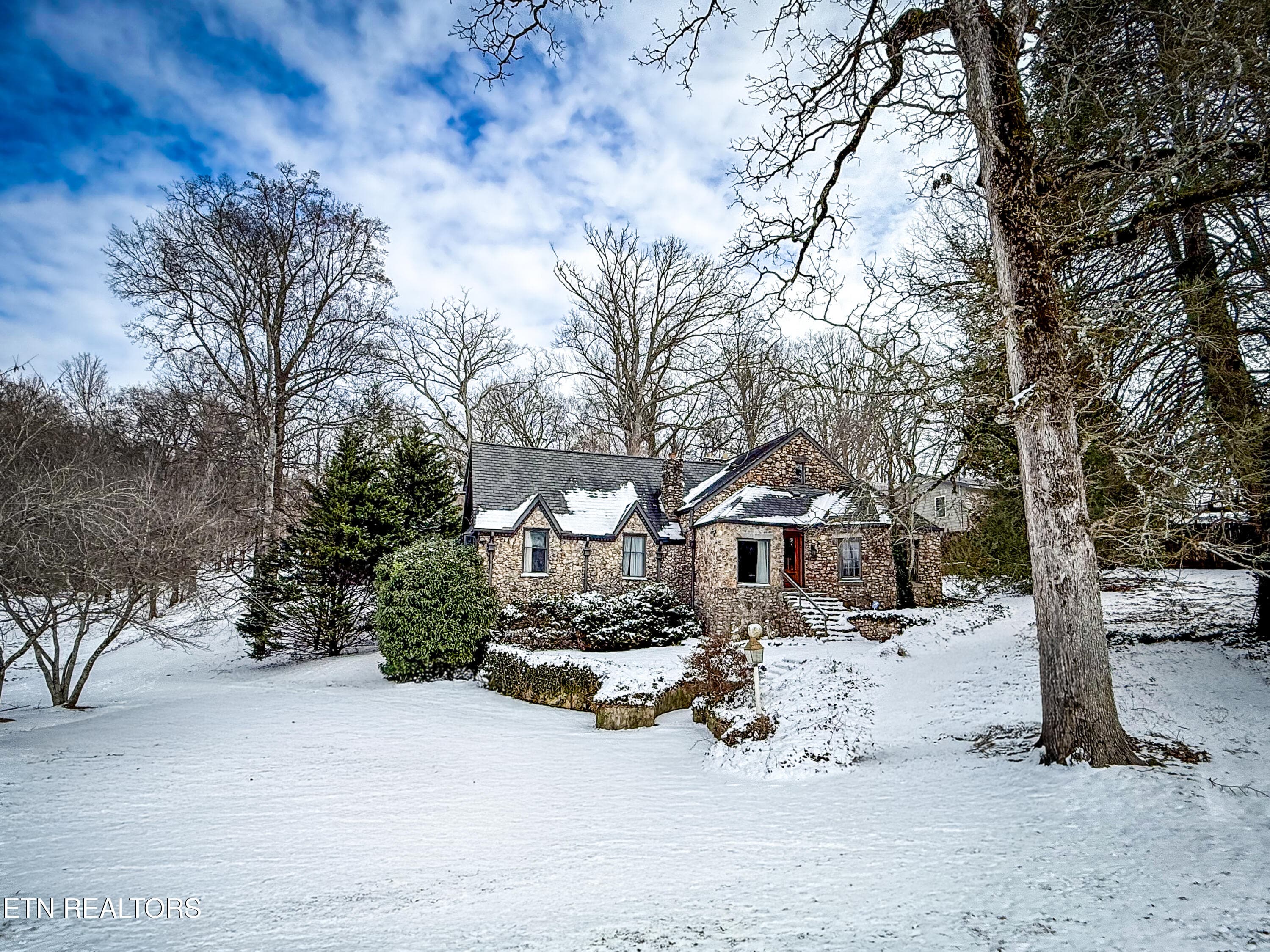 Snow front - 508 Concord Rd, Knoxville, TN 37934, Knoxville
