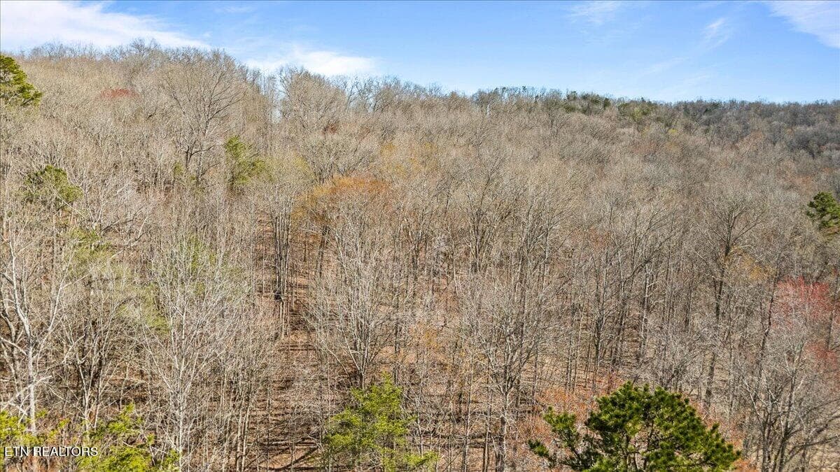 12-Hiawassee View Dr - 1.05ac Hiwassee View Drive, Jacksboro, TN 37757