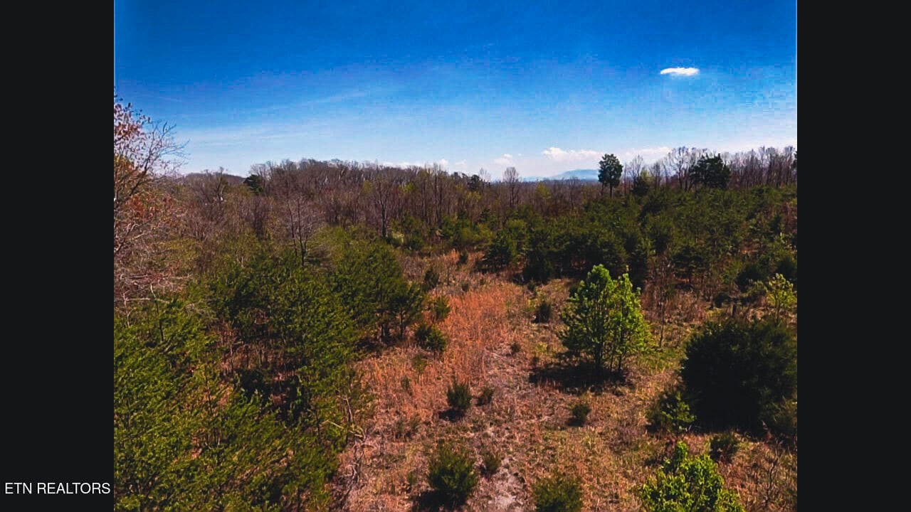 317 Mountain View Drive, Vonore, TN 37885