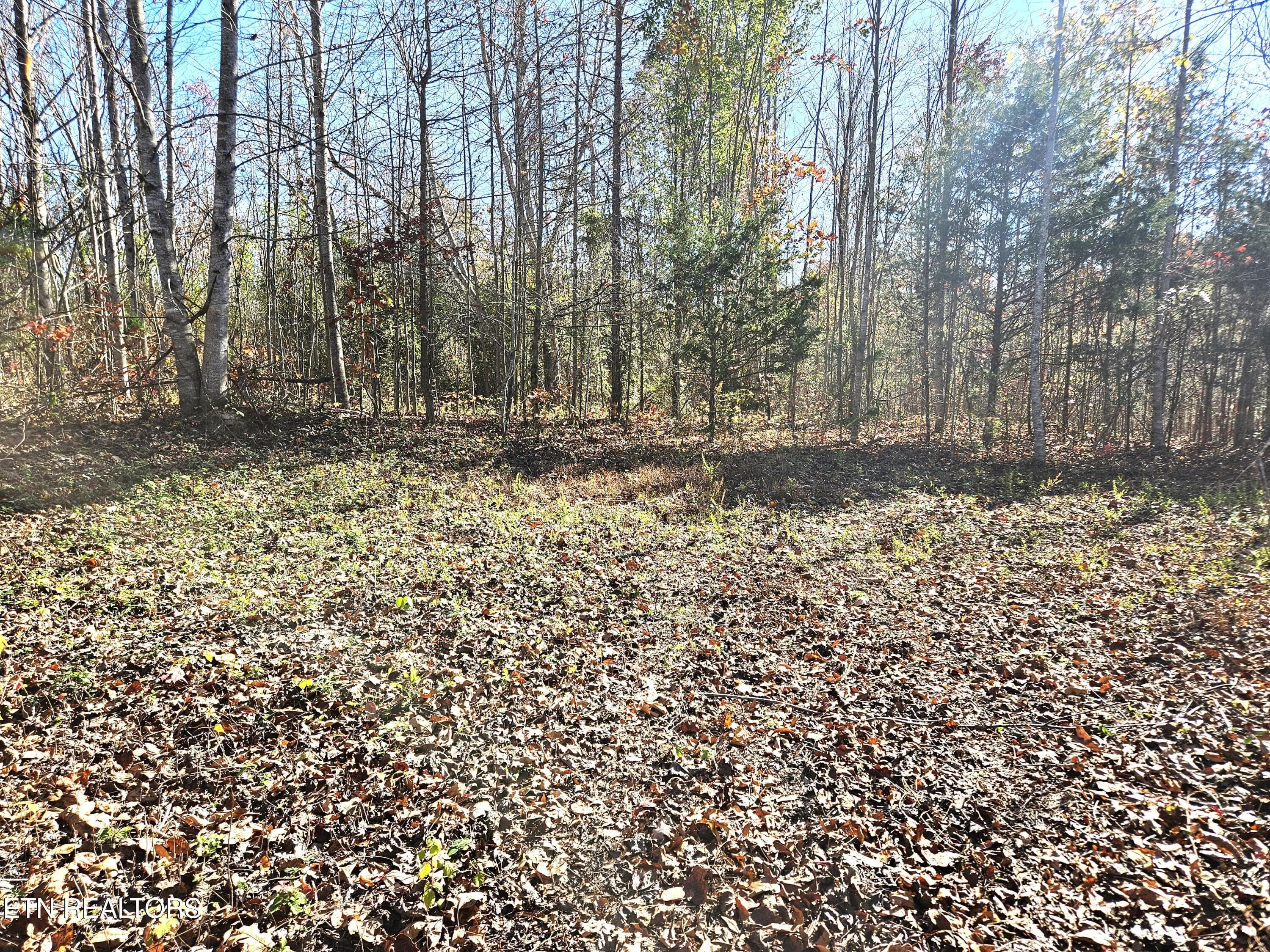 Jamison Property 4 - Walker Rd, Sharps Chapel, TN 37866