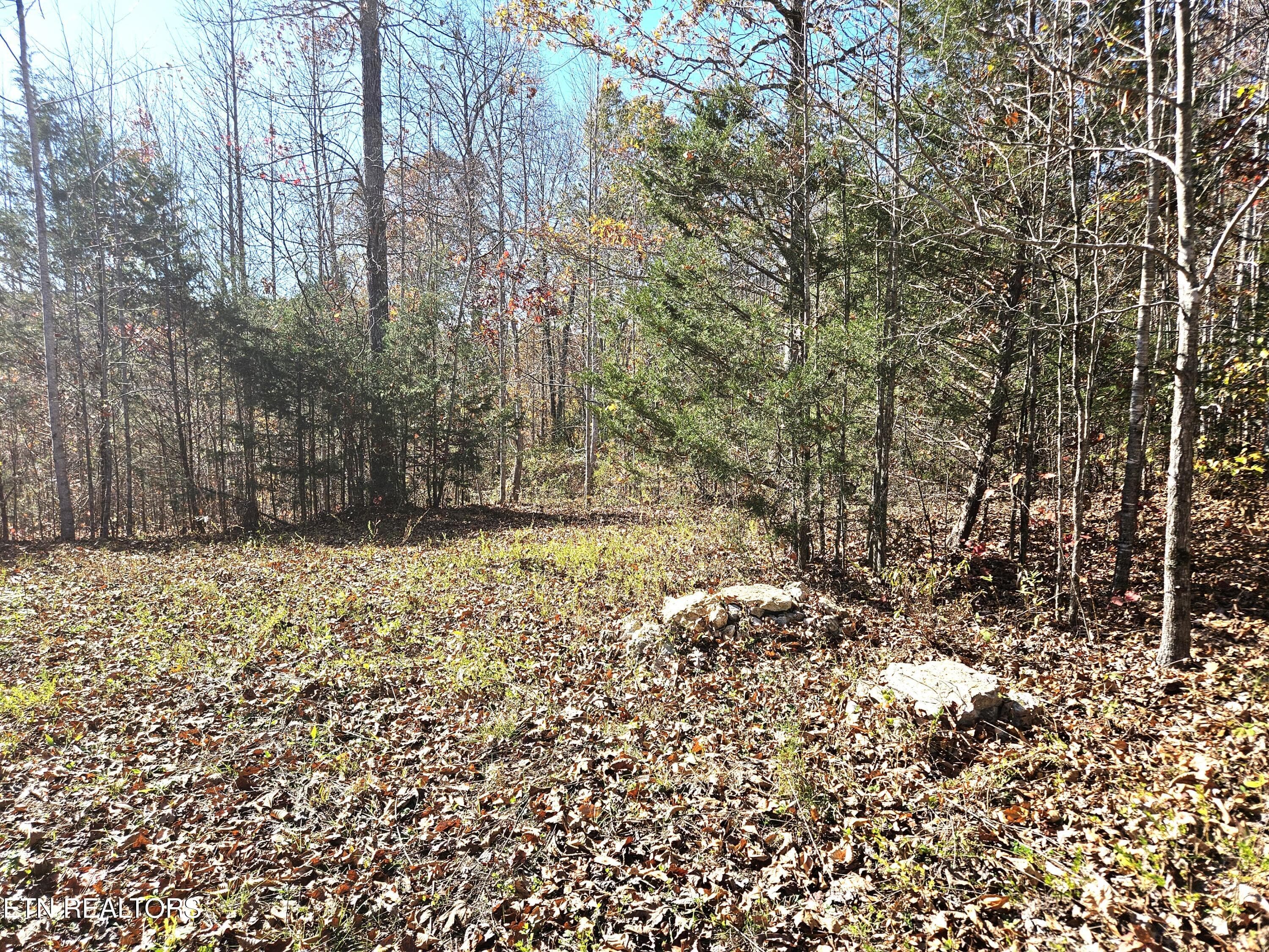 Jamison Property 6 - Walker Rd, Sharps Chapel, TN 37866