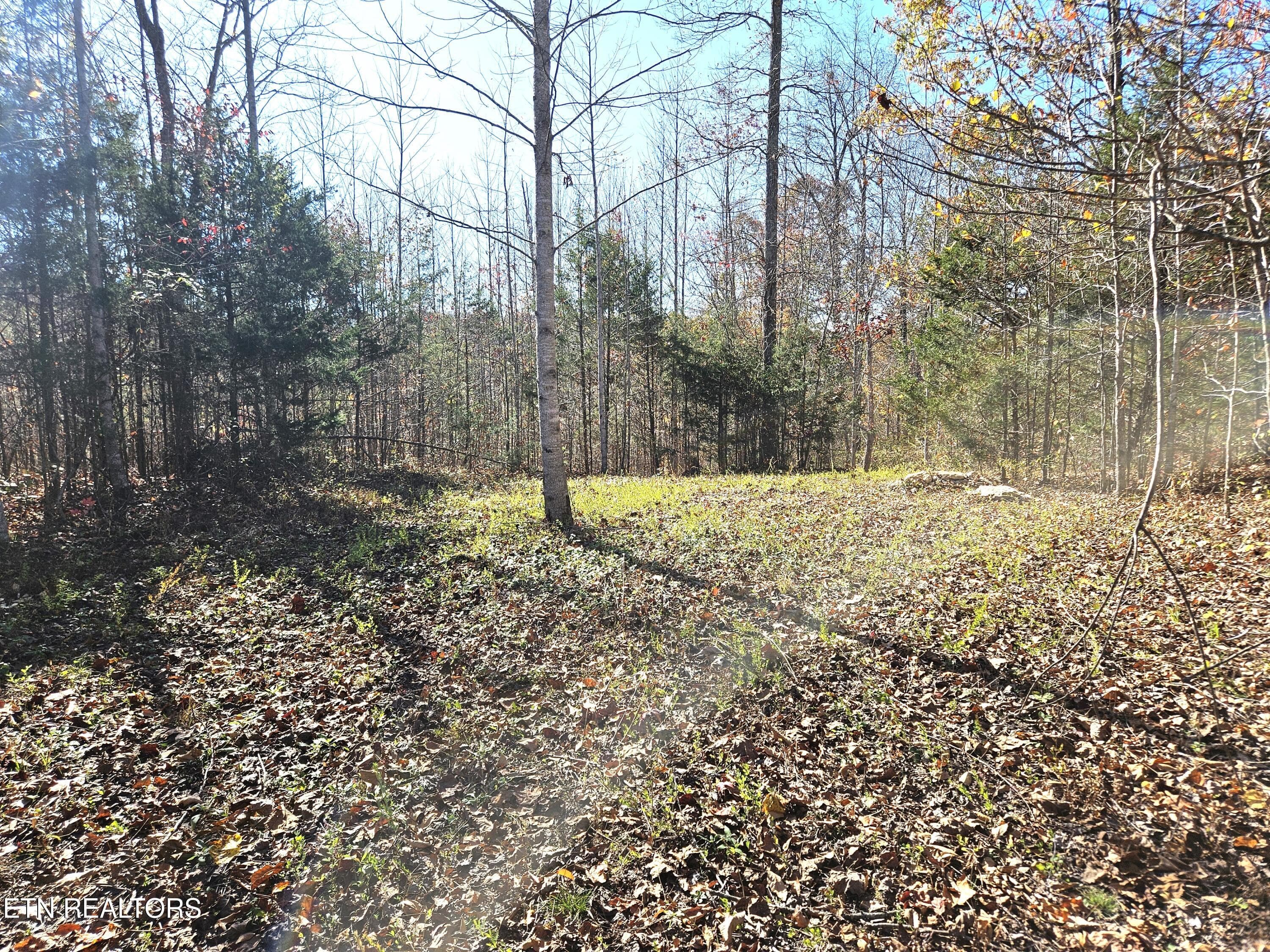 Jamison Property 7 - Walker Rd, Sharps Chapel, TN 37866