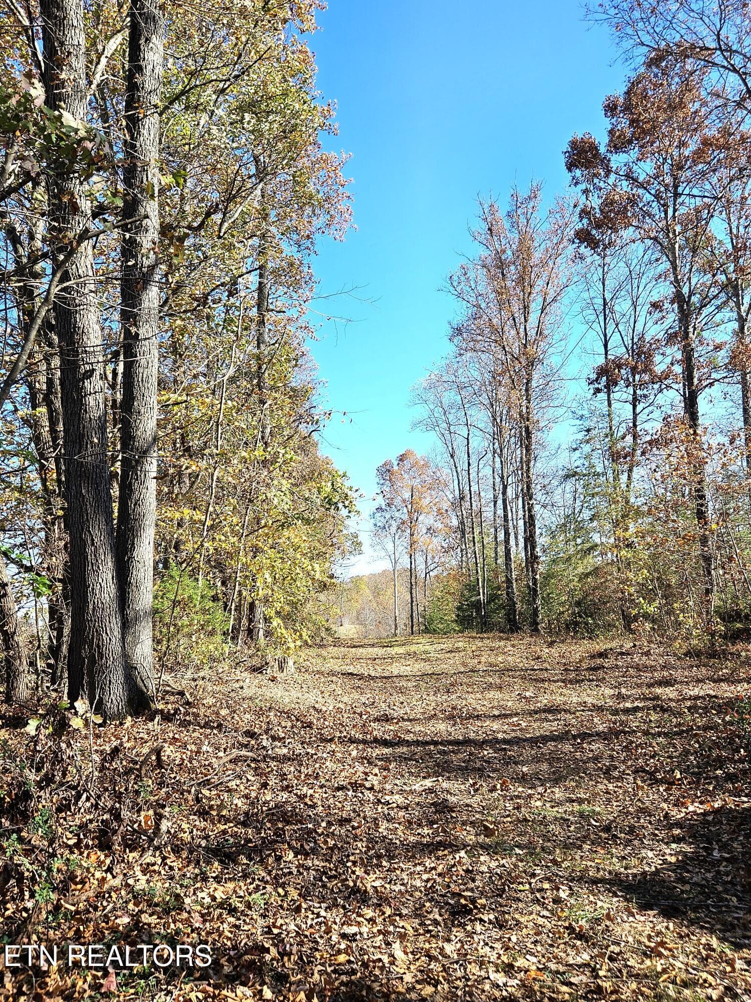 Jamison Property 9 - Walker Rd, Sharps Chapel, TN 37866