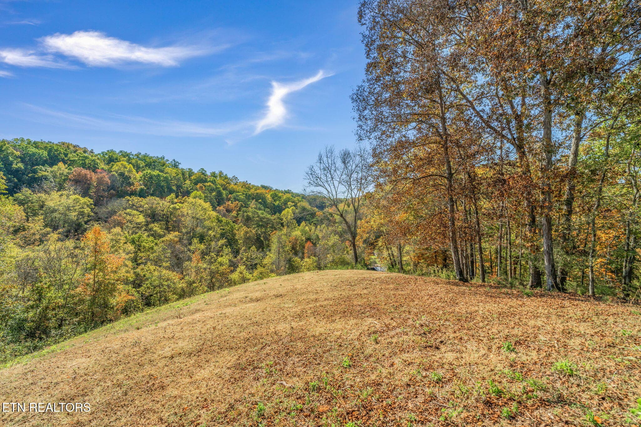 38-web-or-mls-858 N. Shiloh Road-30 - 858 N Shiloh Rd, Seymour, TN 37865