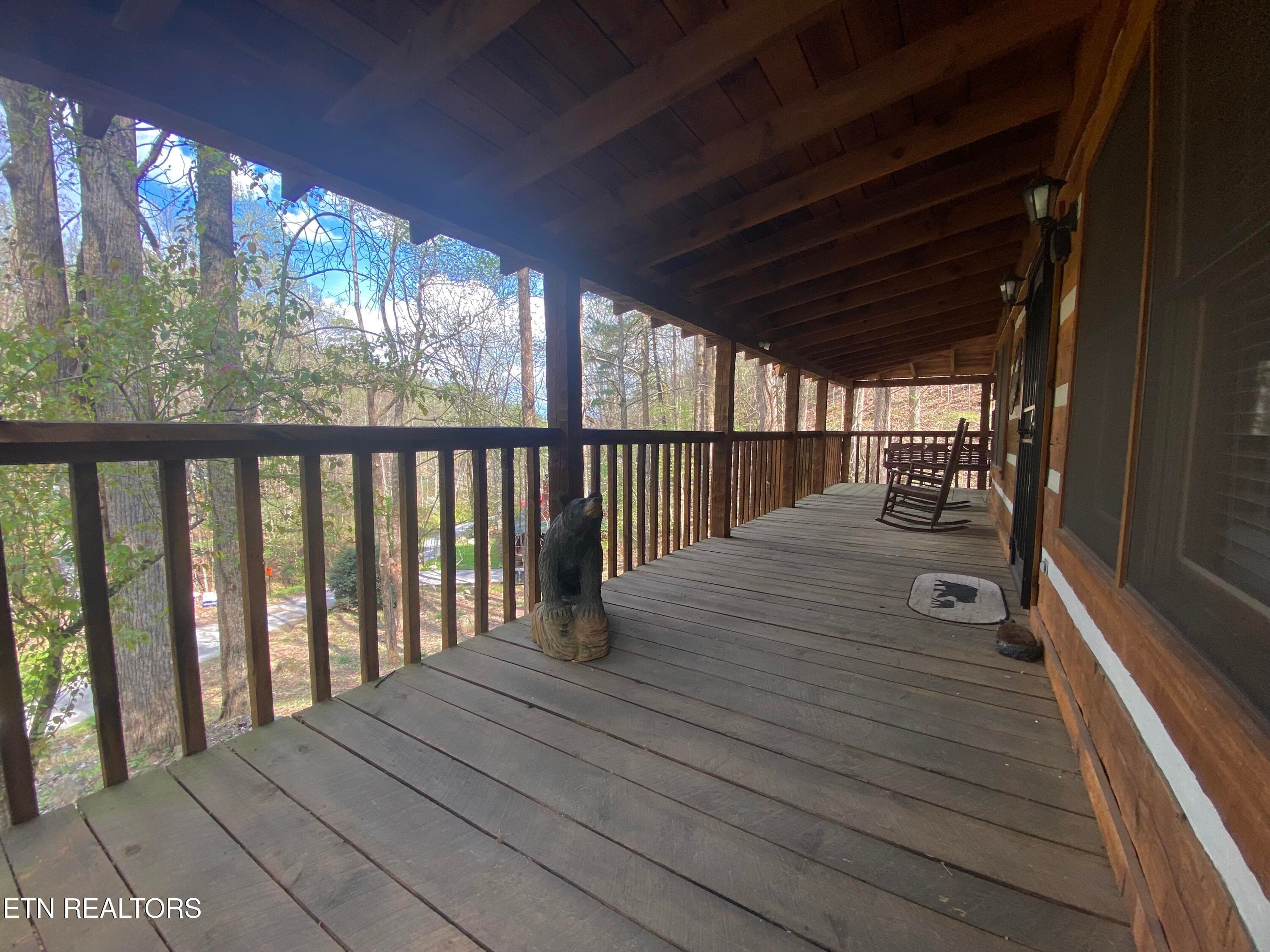 IMG_5886 - 2601 Black Bear Lane, Sevierville, TN 37876