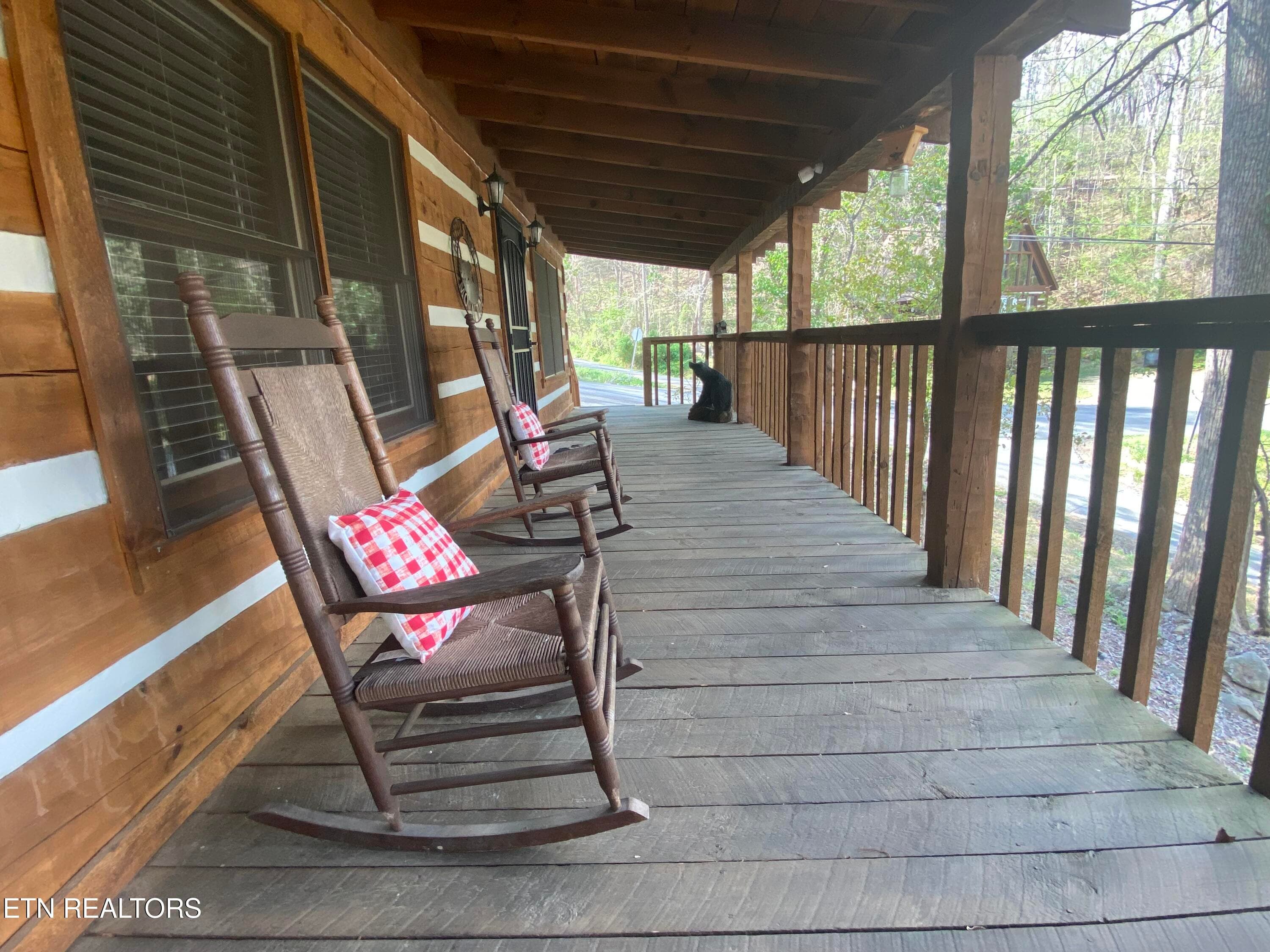 IMG_5896 - 2601 Black Bear Lane, Sevierville, TN 37876