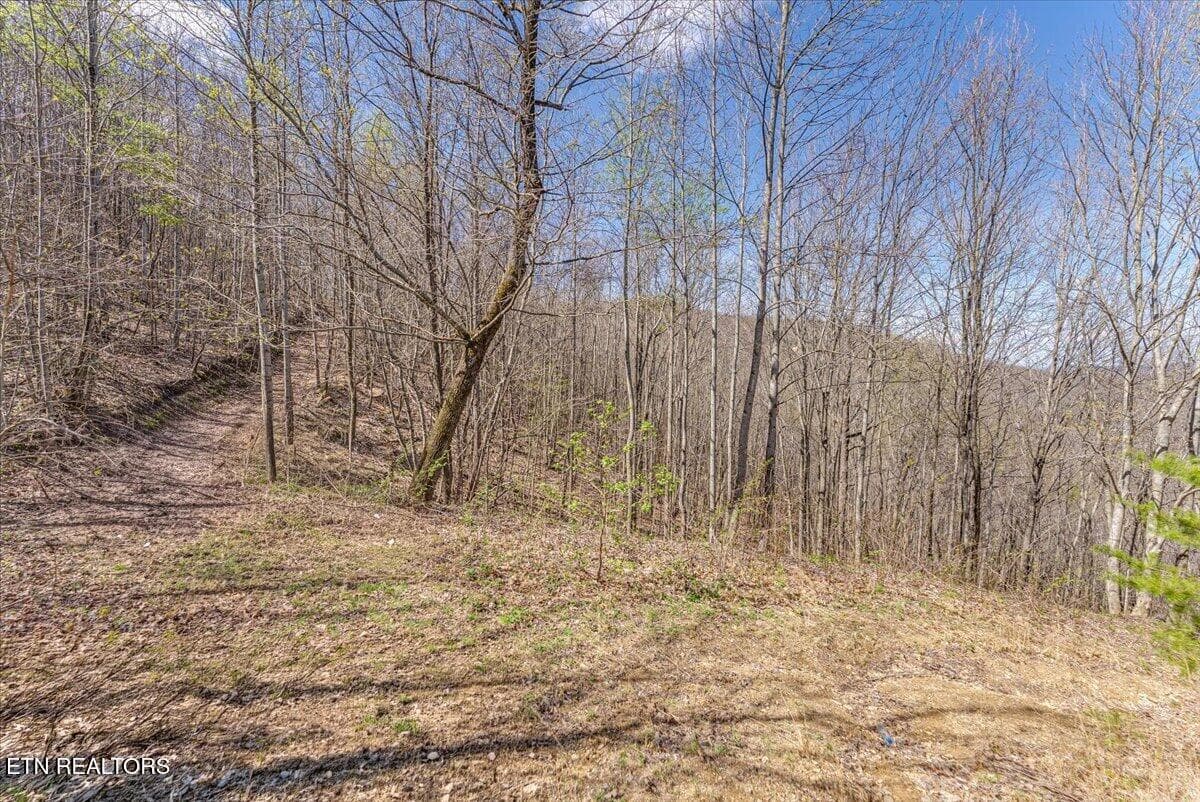 31-Entrance A6 - 422 Crooked Branch Rd, Huntsville, TN 37756