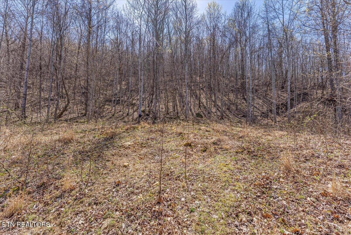 37-2nd Clearing A1 - 422 Crooked Branch Rd, Huntsville, TN 37756