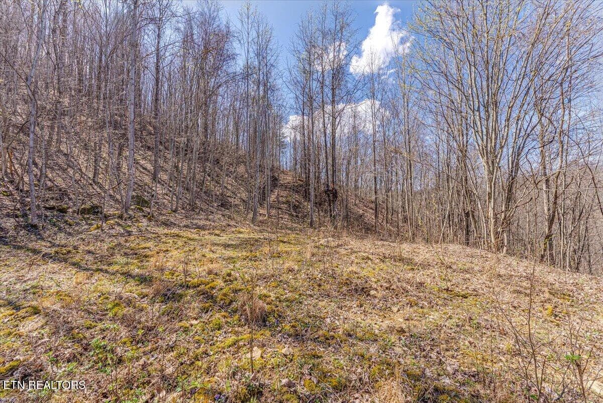 40-2nd Clearing A4 - 422 Crooked Branch Rd, Huntsville, TN 37756