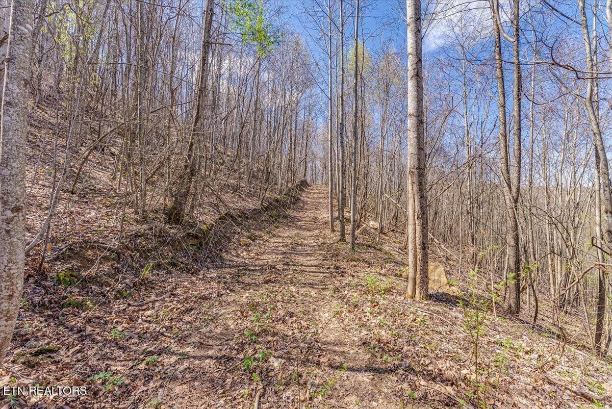 42-Trail A2 - 422 Crooked Branch Rd, Huntsville, TN 37756