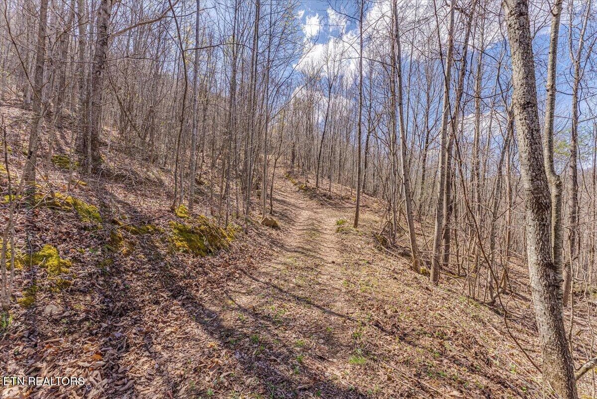 43-Trail A3 - 422 Crooked Branch Rd, Huntsville, TN 37756