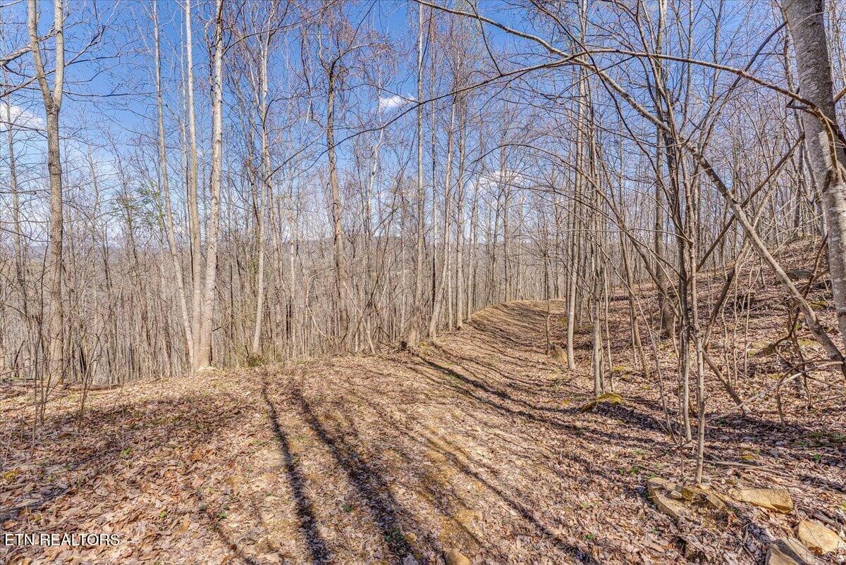 44-Trail A4 - 422 Crooked Branch Rd, Huntsville, TN 37756