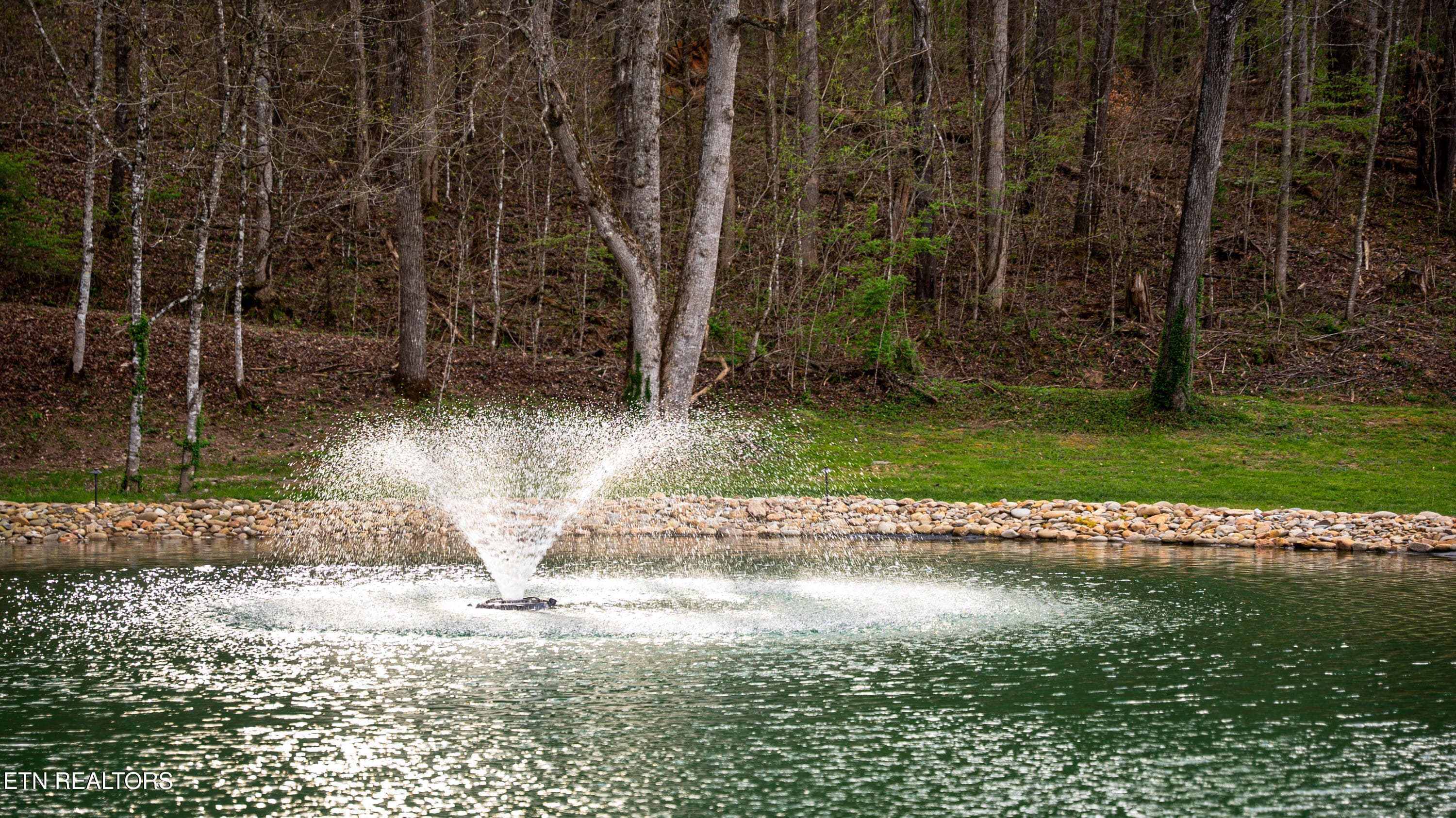 15 Sevier TN 77.63 Featured_Pro Photo-51 - 4242 Pearl Valley Rd, Sevierville, TN 37876