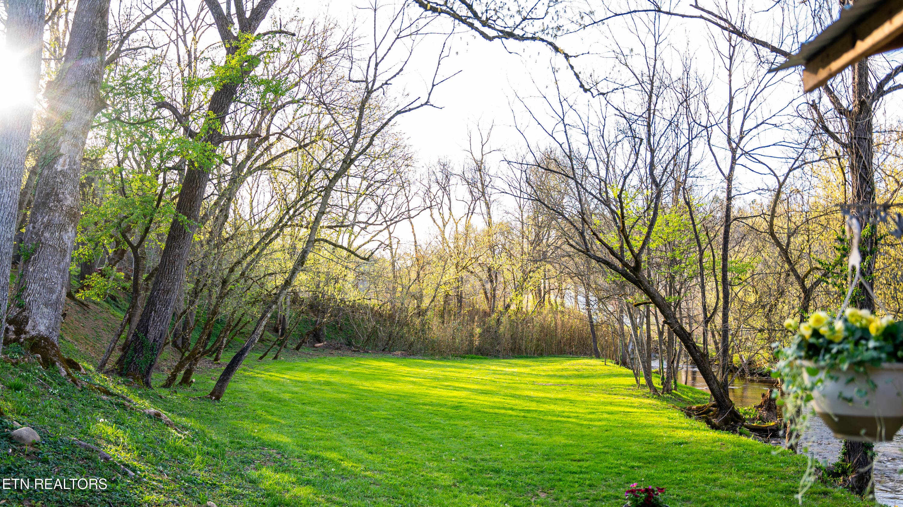 Sevier TN 77.63 Featured_Pro Photo-38 - 4242 Pearl Valley Rd, Sevierville, TN 37876
